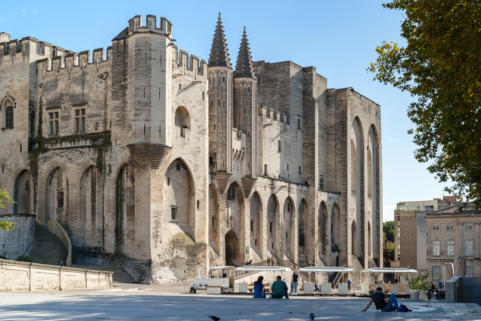 Sony 50mm F1.4 sample photo. Palais des papes in avignon photography