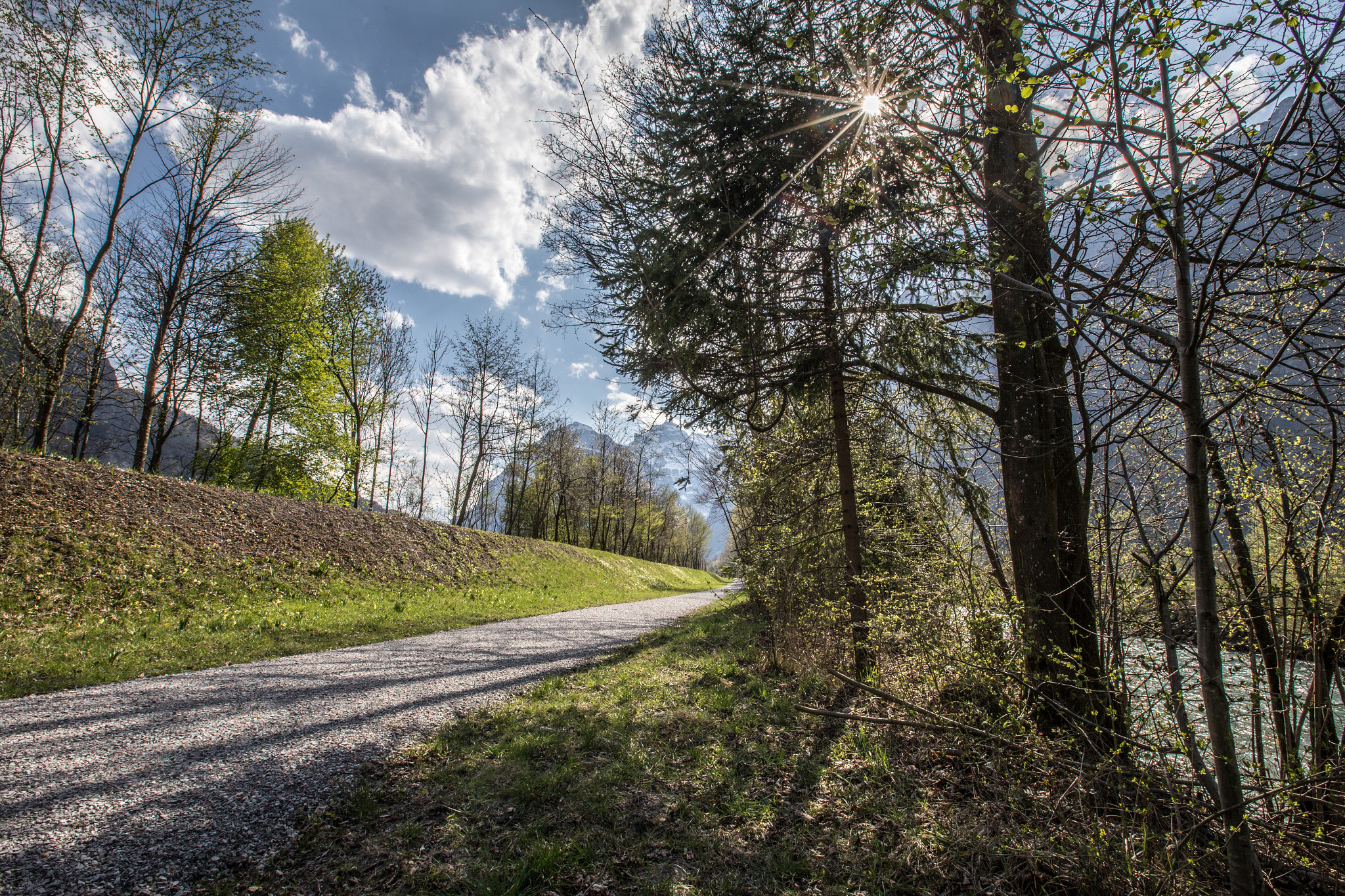 Canon EF 16-35mm F2.8L II USM sample photo. Spring pathway ii photography
