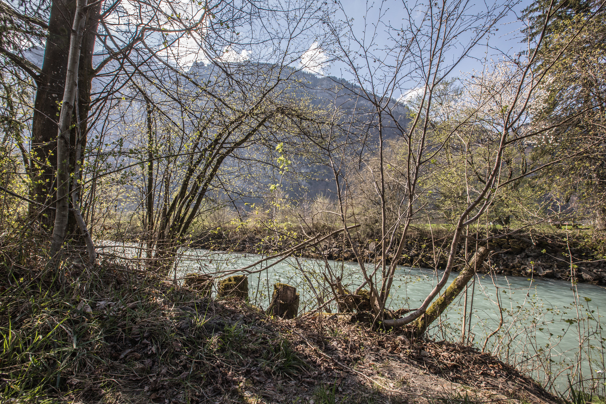 Canon EF 16-35mm F2.8L II USM sample photo. River view photography