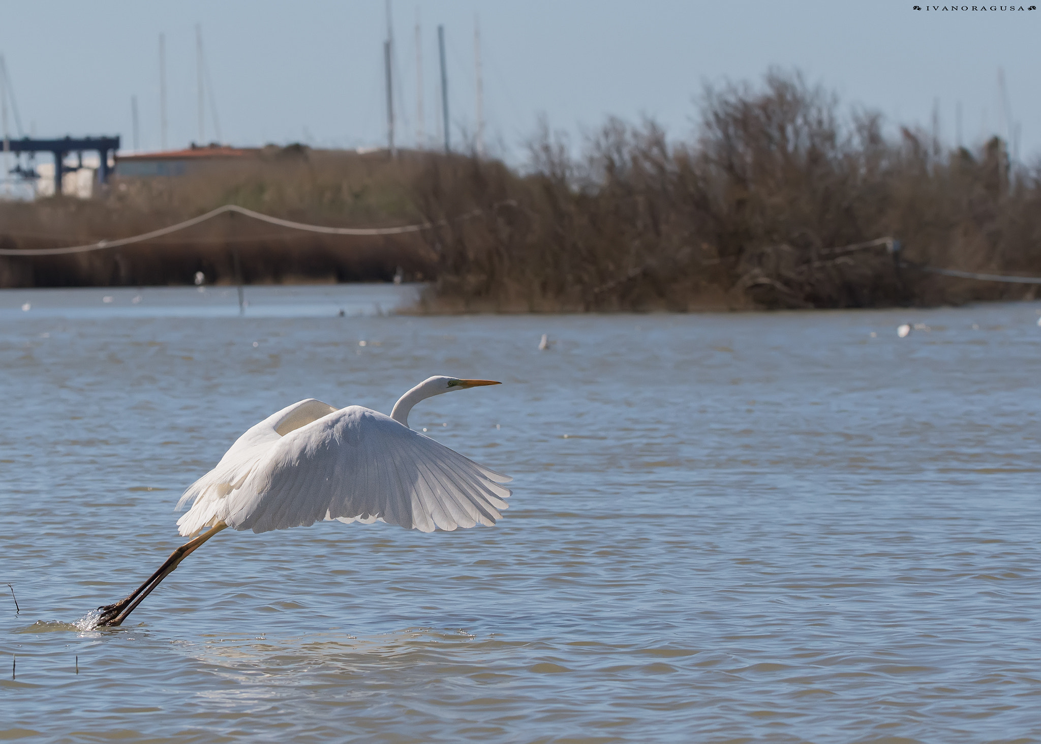 Sigma 150-600mm F5-6.3 DG OS HSM | S sample photo. Dsc photography