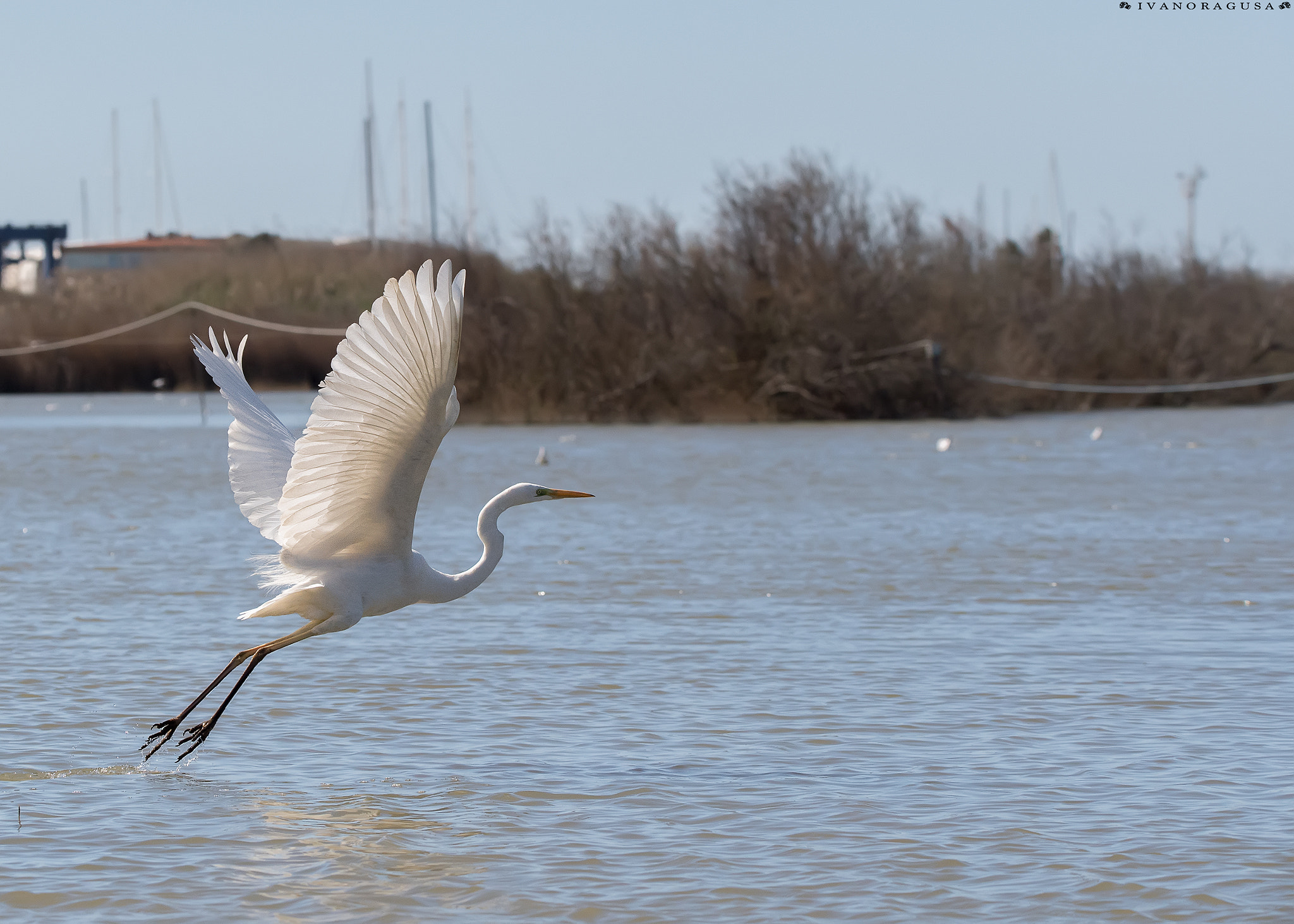 Sigma 150-600mm F5-6.3 DG OS HSM | S sample photo. Dsc photography