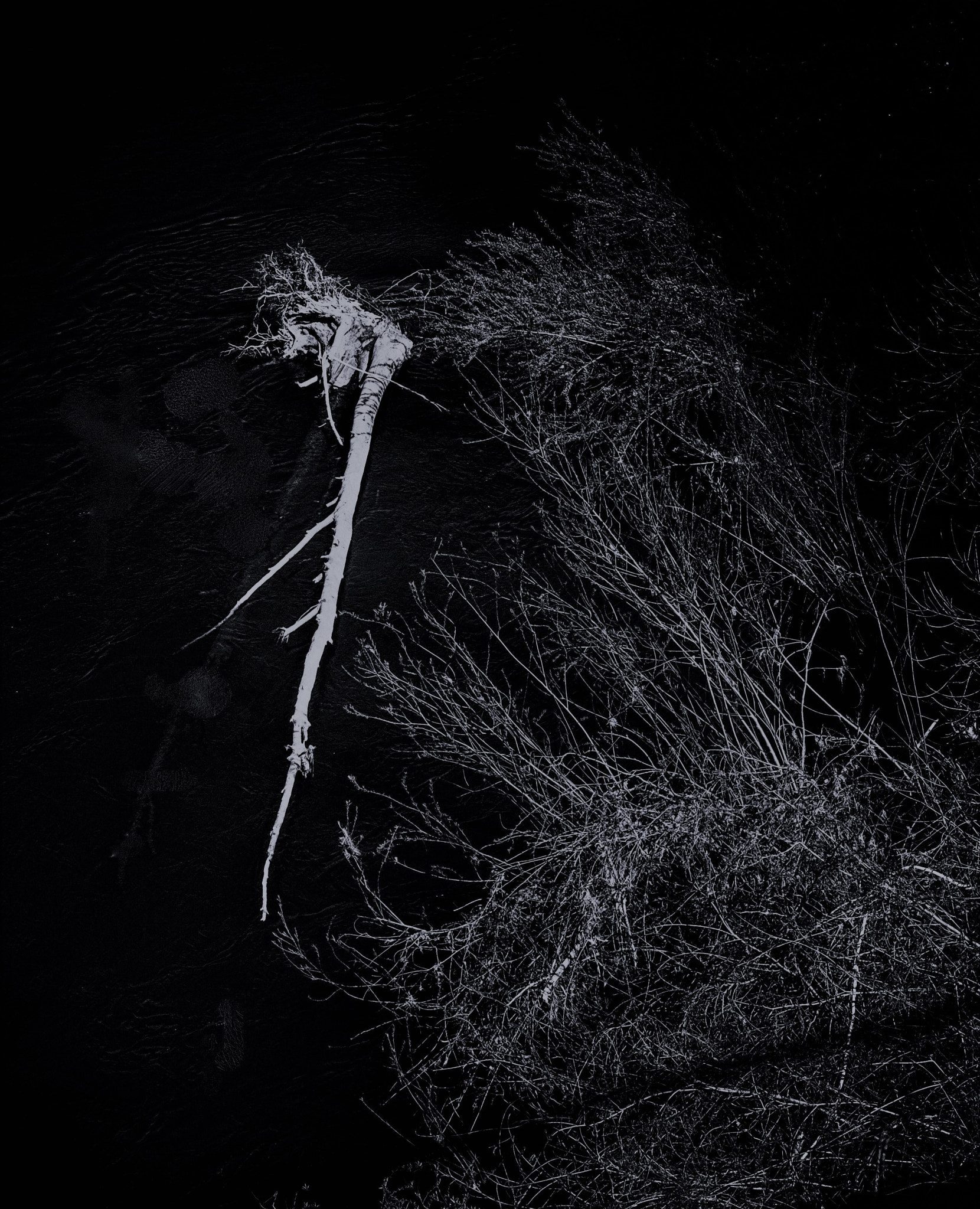 Fujifilm X-T1 sample photo. River log noir photography