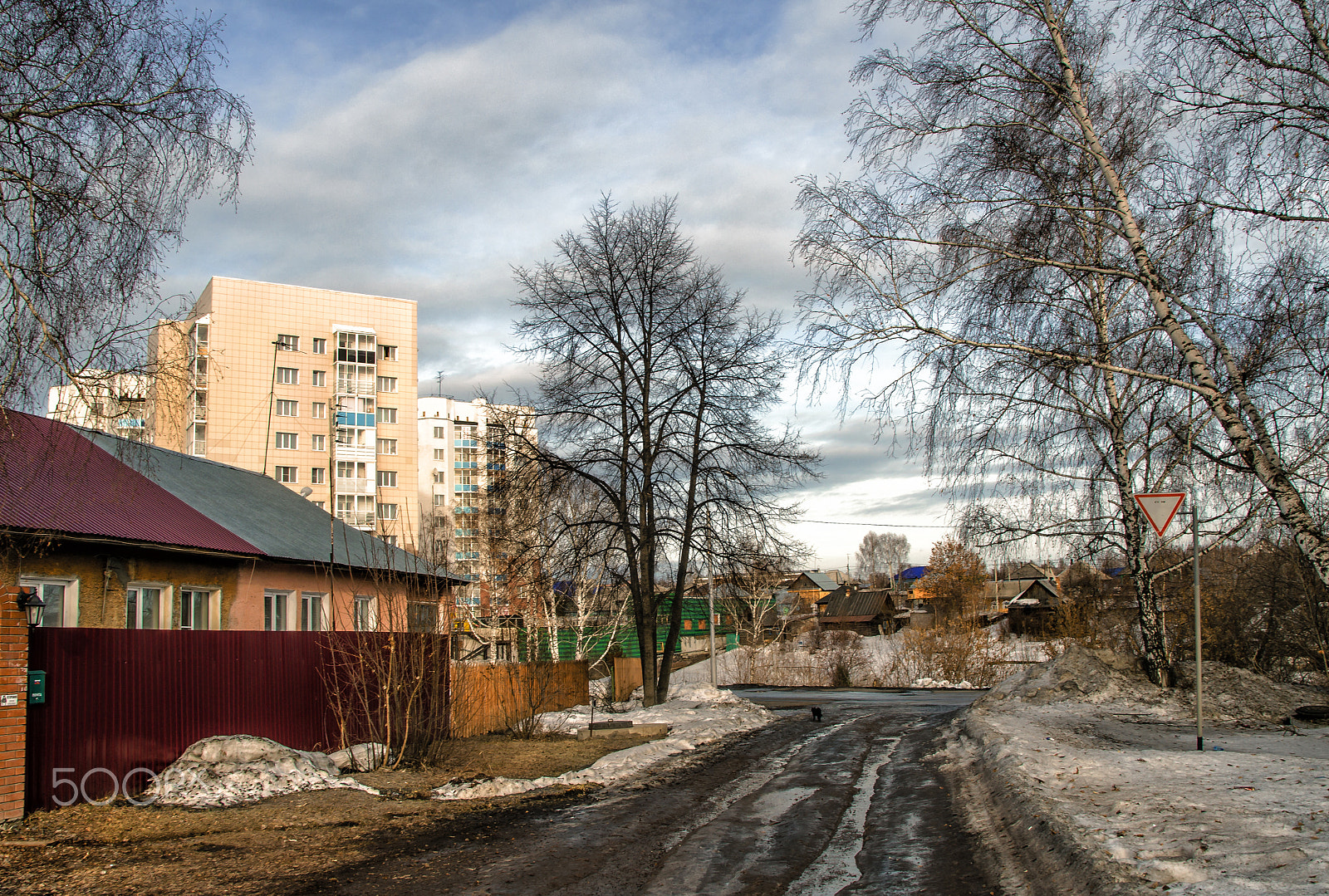 Sigma 17-50mm F2.8 EX DC OS HSM sample photo. Весна photography