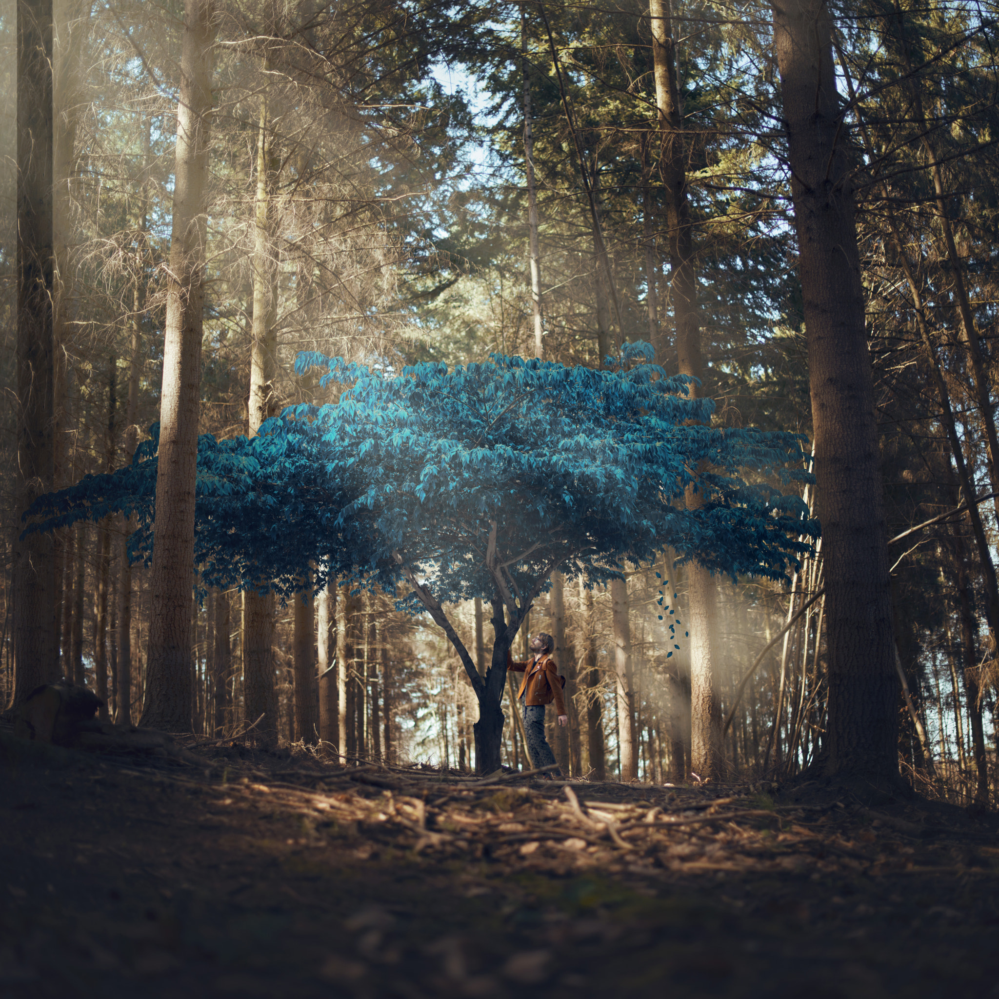 Nikon D800 + Nikon AF-S Nikkor 50mm F1.4G sample photo. Growing with your differences photography