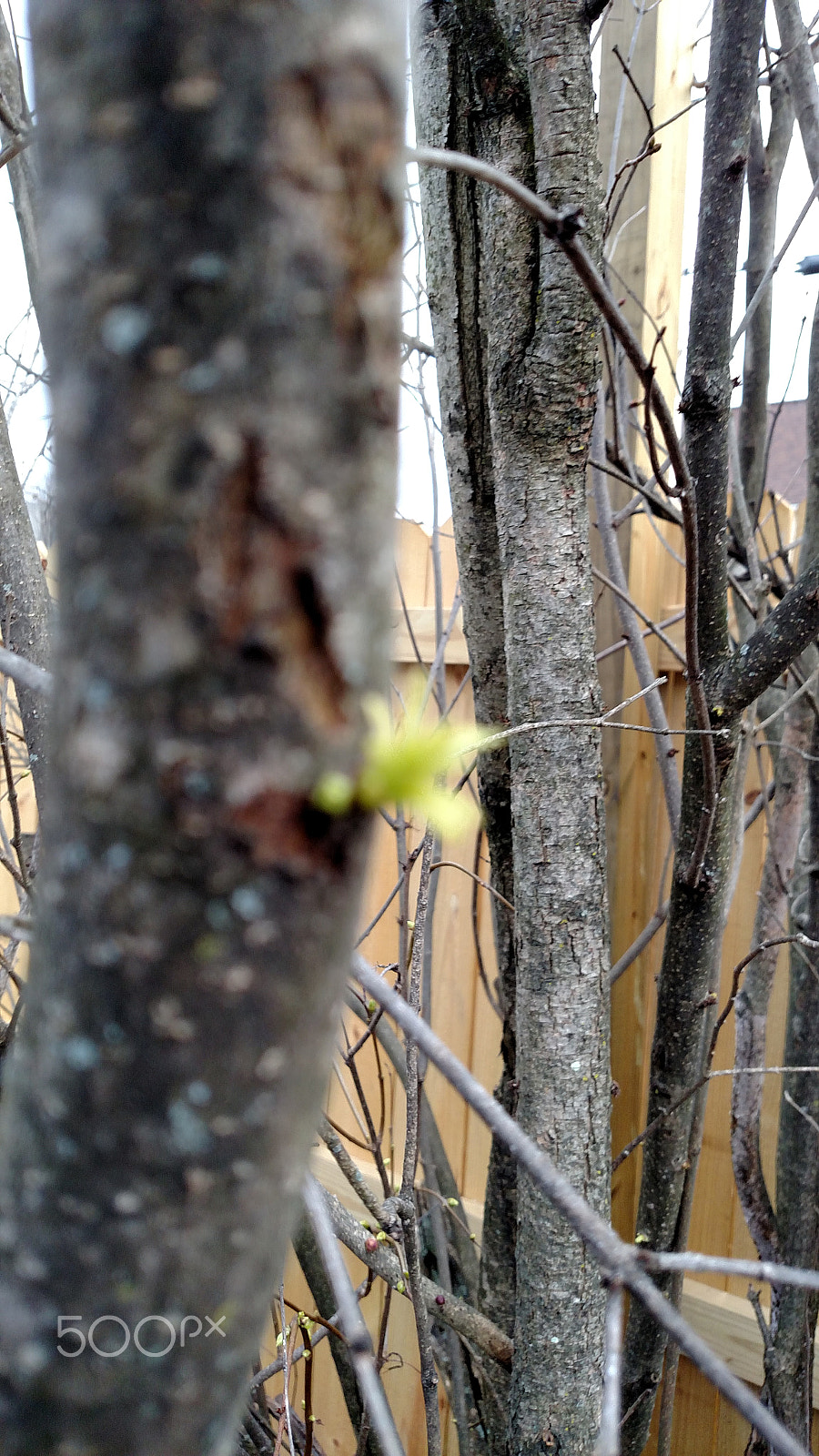 Motorola Droid Turbo sample photo. Eclectic photos, williamsport, pa 17701 photography