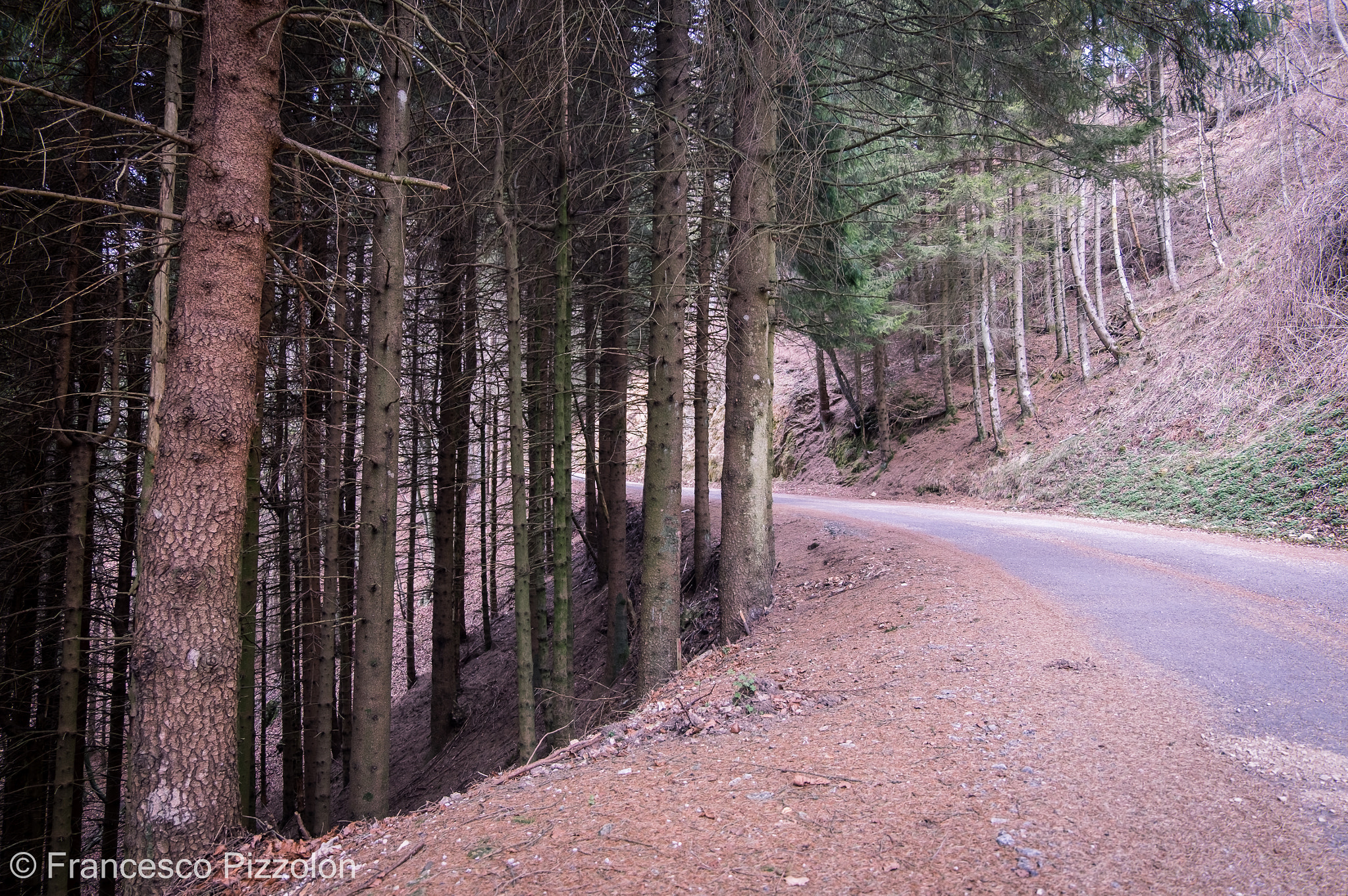 Fujifilm X-T10 sample photo. World war 1914 #7 photography