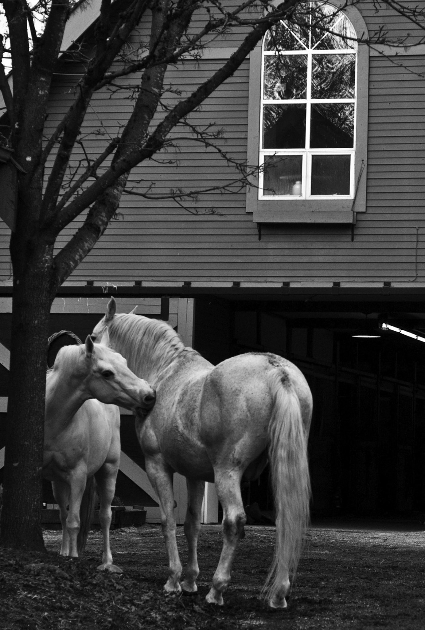 Nikon D200 sample photo. Mom and son photography