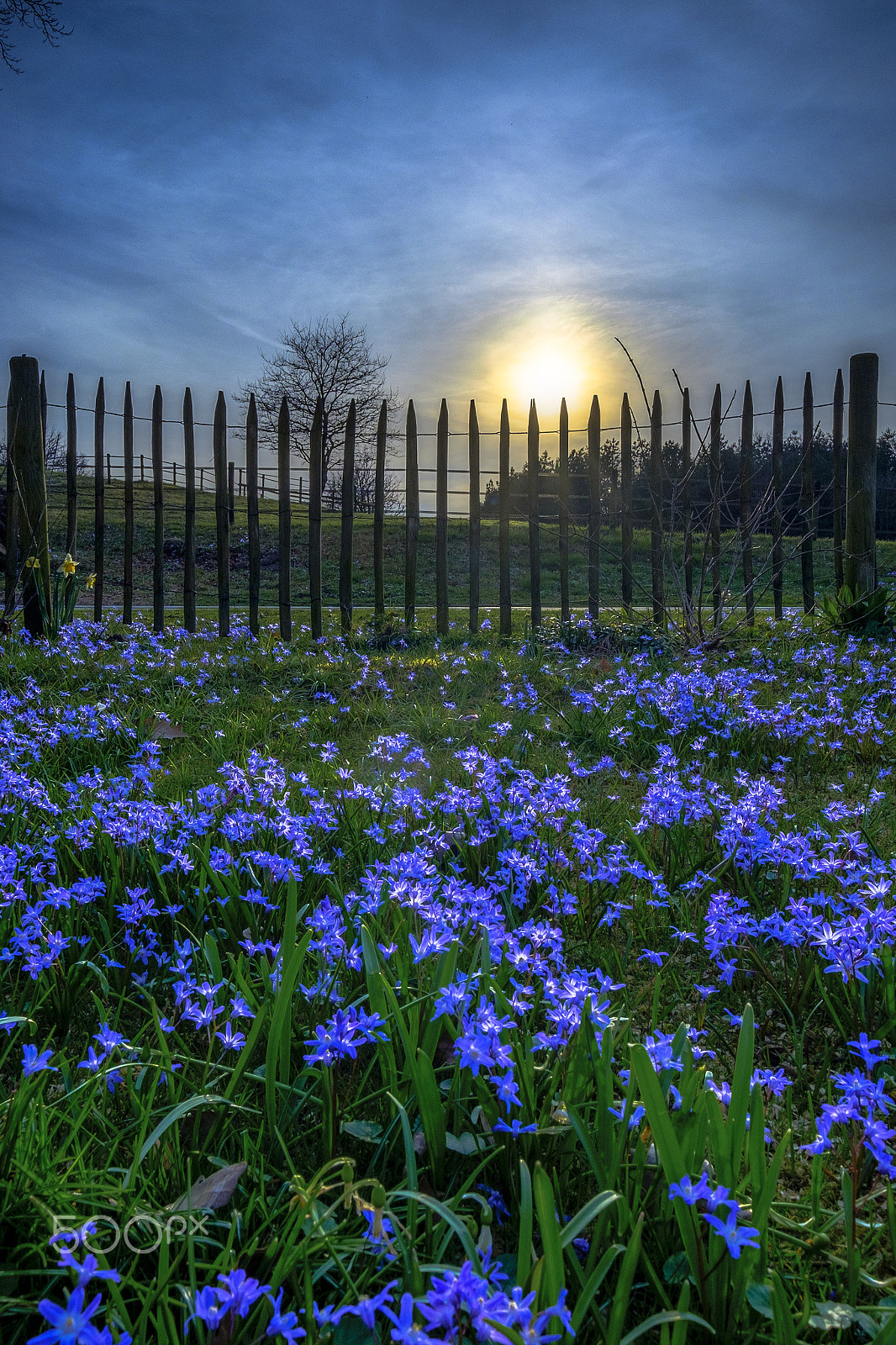 Fujifilm XF 10-24mm F4 R OIS sample photo. Serial skilla photography