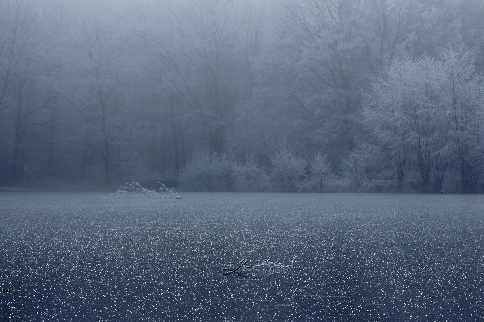 Canon EOS 700D (EOS Rebel T5i / EOS Kiss X7i) + Canon EF 50mm F1.8 II sample photo. Evening in fog photography
