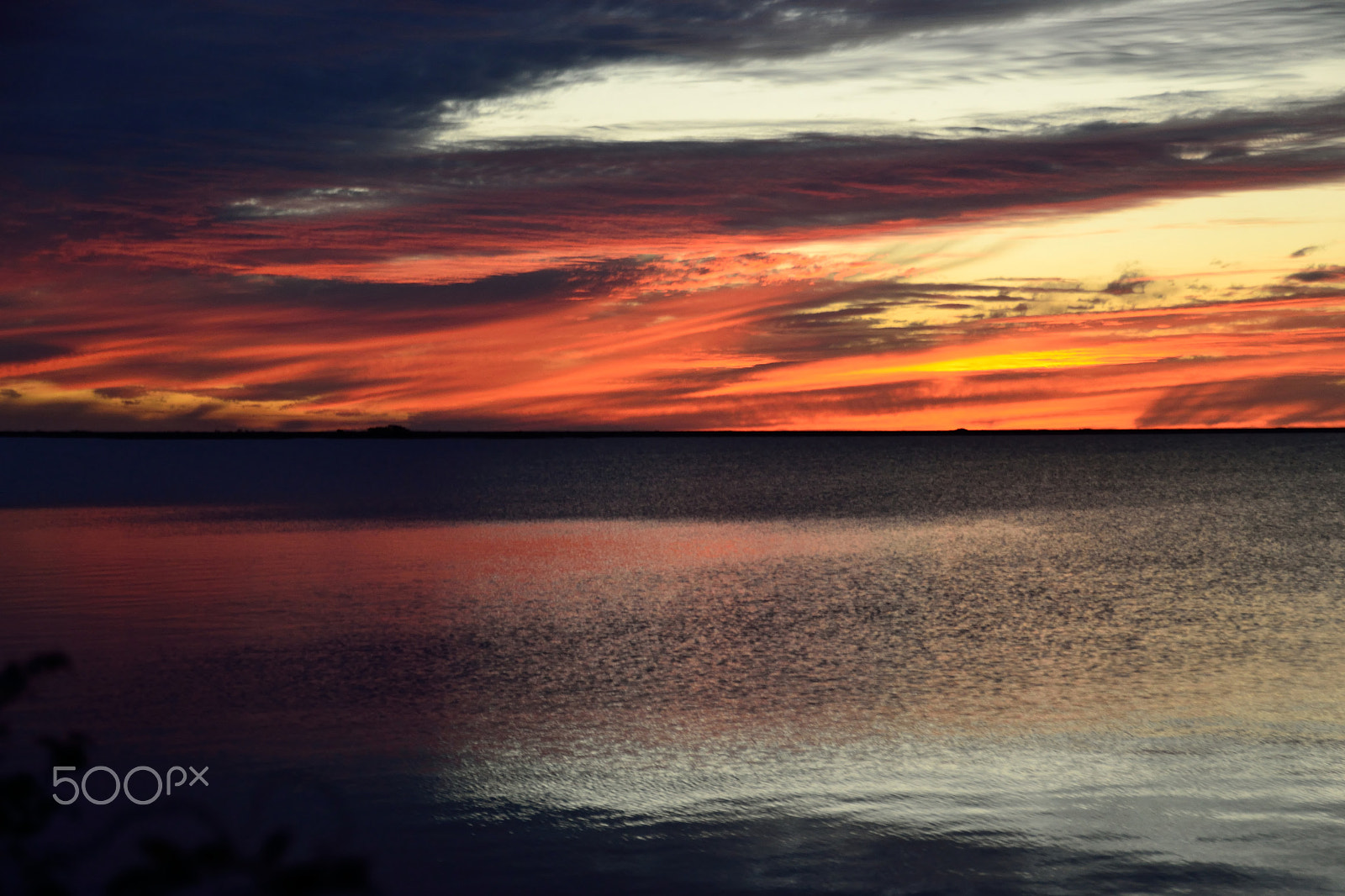 Nikon D3100 sample photo. Cel rogent photography