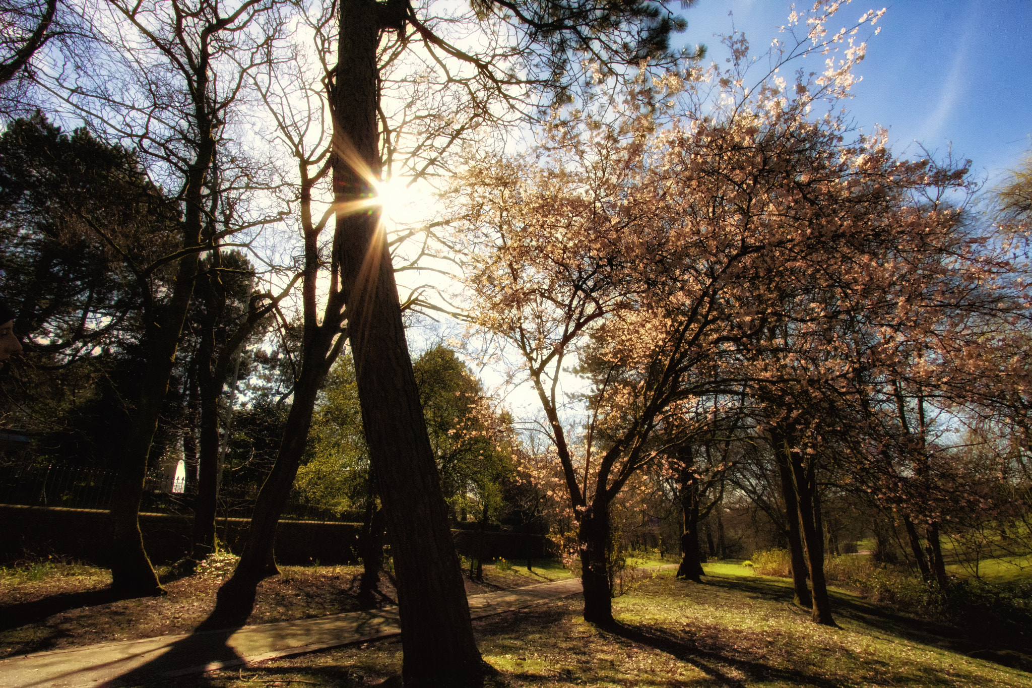 Canon EF-S 10-22mm F3.5-4.5 USM sample photo. Agaist the sun photography