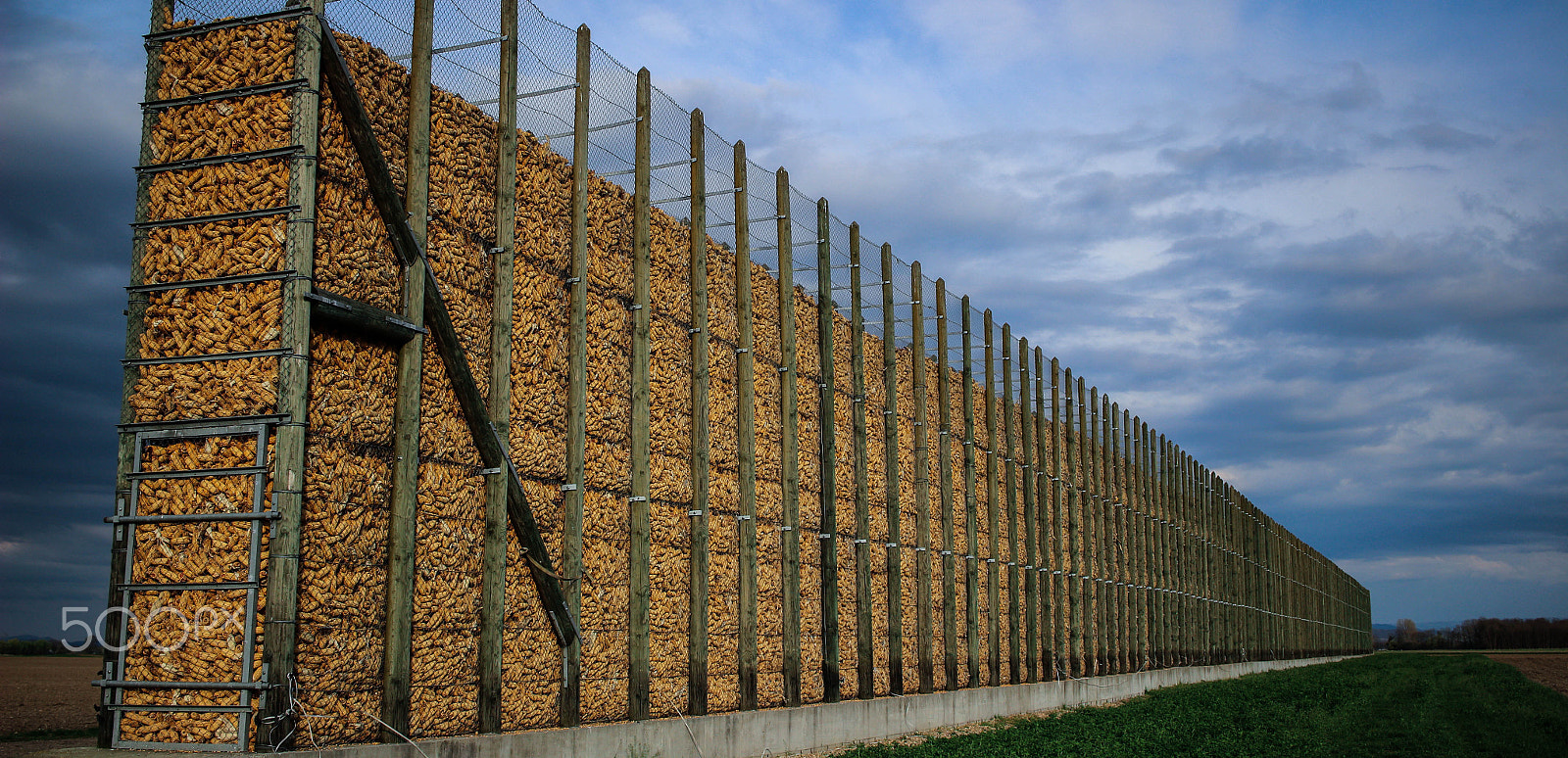 Canon EF-S 24mm F2.8 STM sample photo. Corn photography