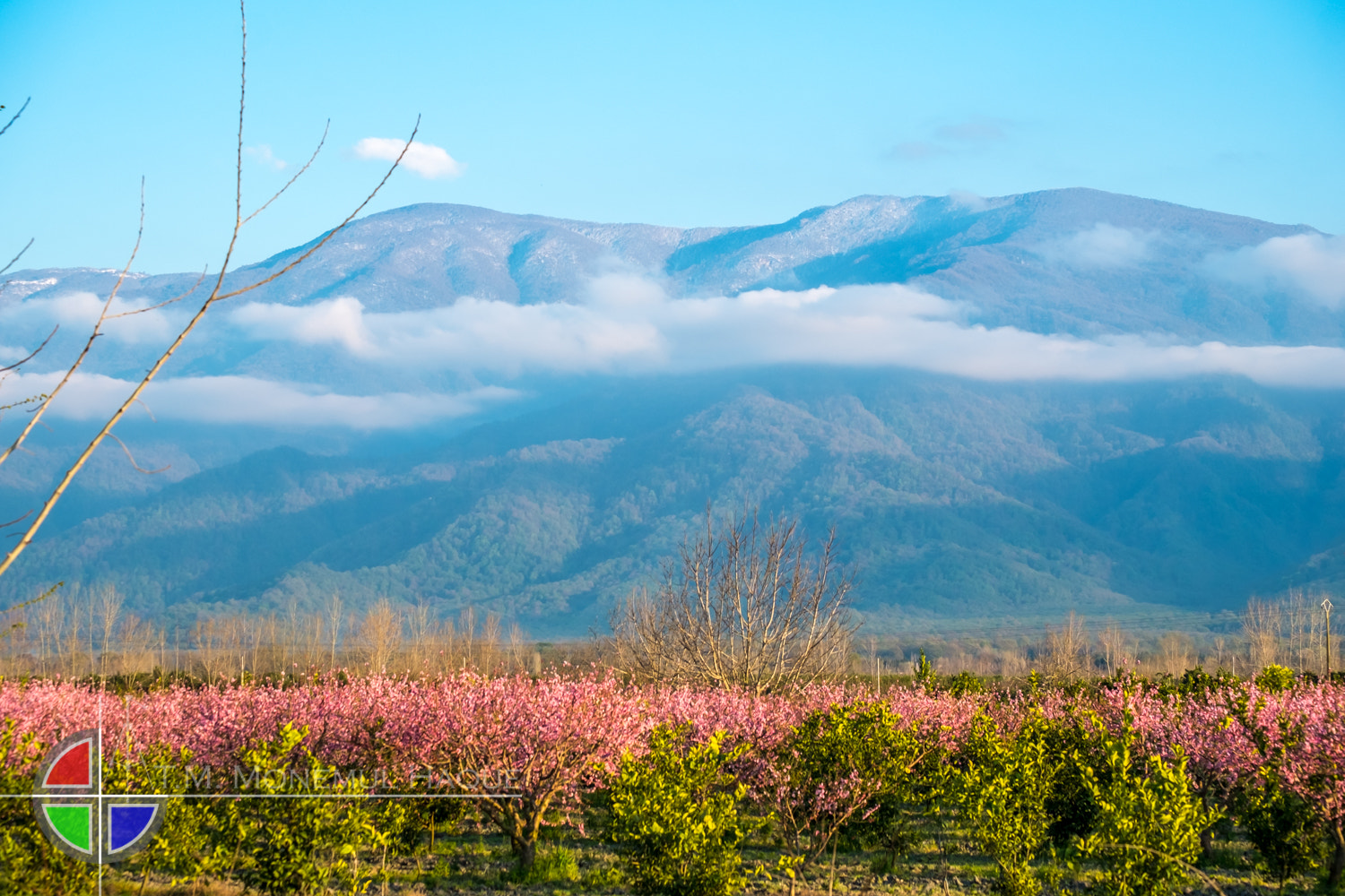 Fujifilm X-E1 + Fujifilm XF 55-200mm F3.5-4.8 R LM OIS sample photo. Gorgan landscape photography