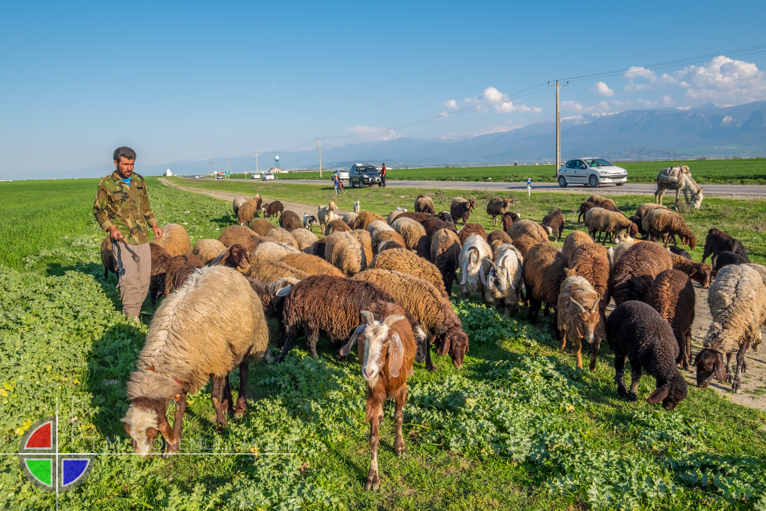 Fujifilm XF 10-24mm F4 R OIS sample photo. Gorgan landscape photography