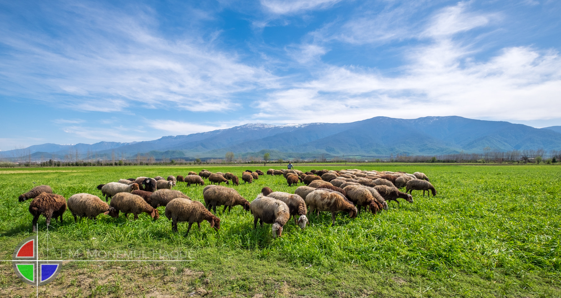 Fujifilm XF 10-24mm F4 R OIS sample photo. Gorgan landscape photography