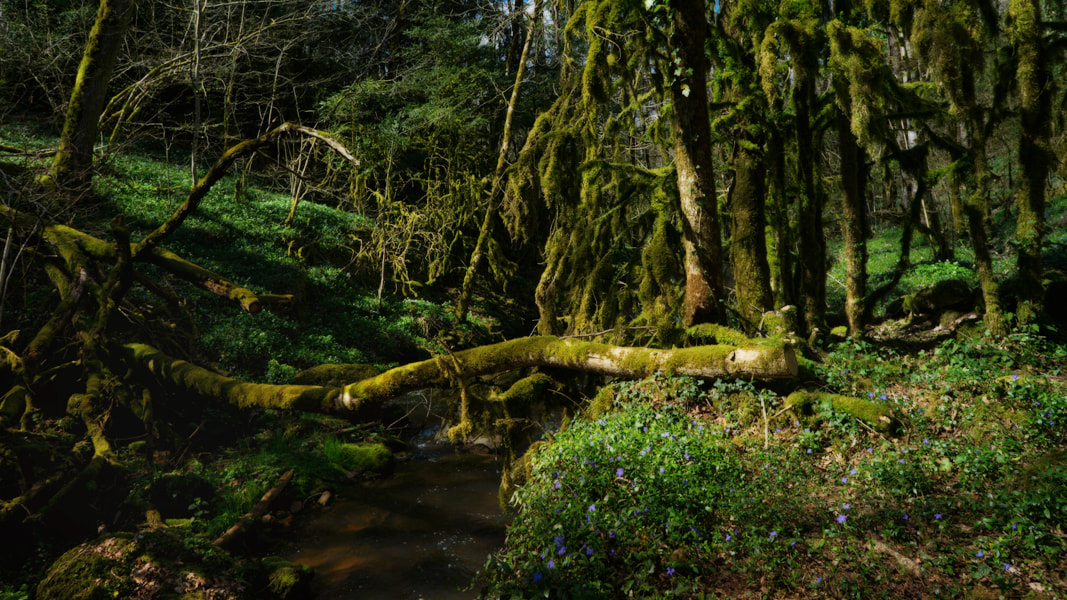 Sony a6000 + Sony E 16mm F2.8 sample photo. Il était une fois.. photography