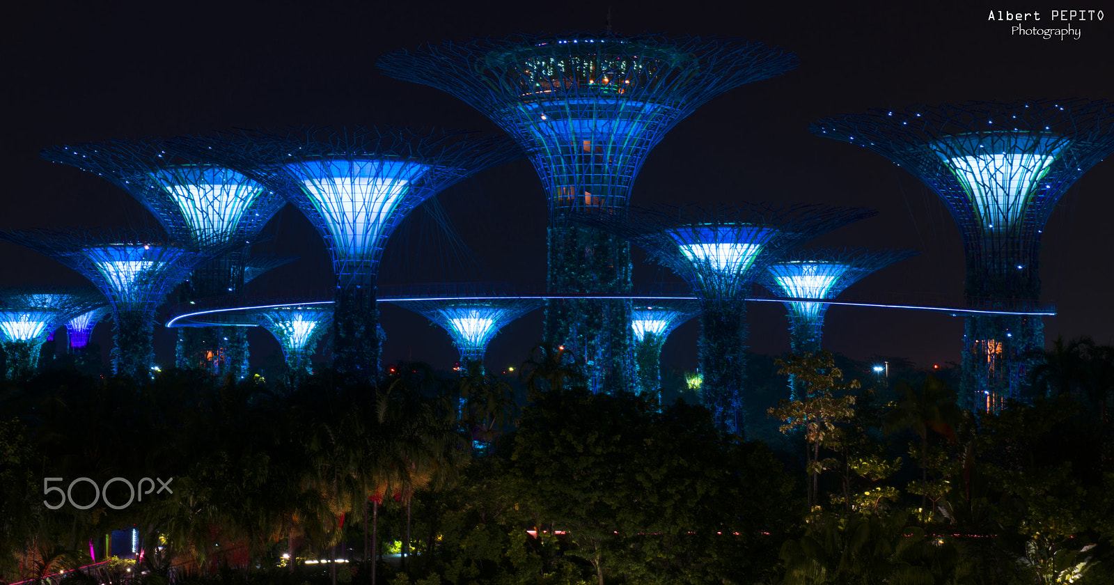 Nikon AF-S Nikkor 24-70mm F2.8G ED sample photo. Supertrees photography