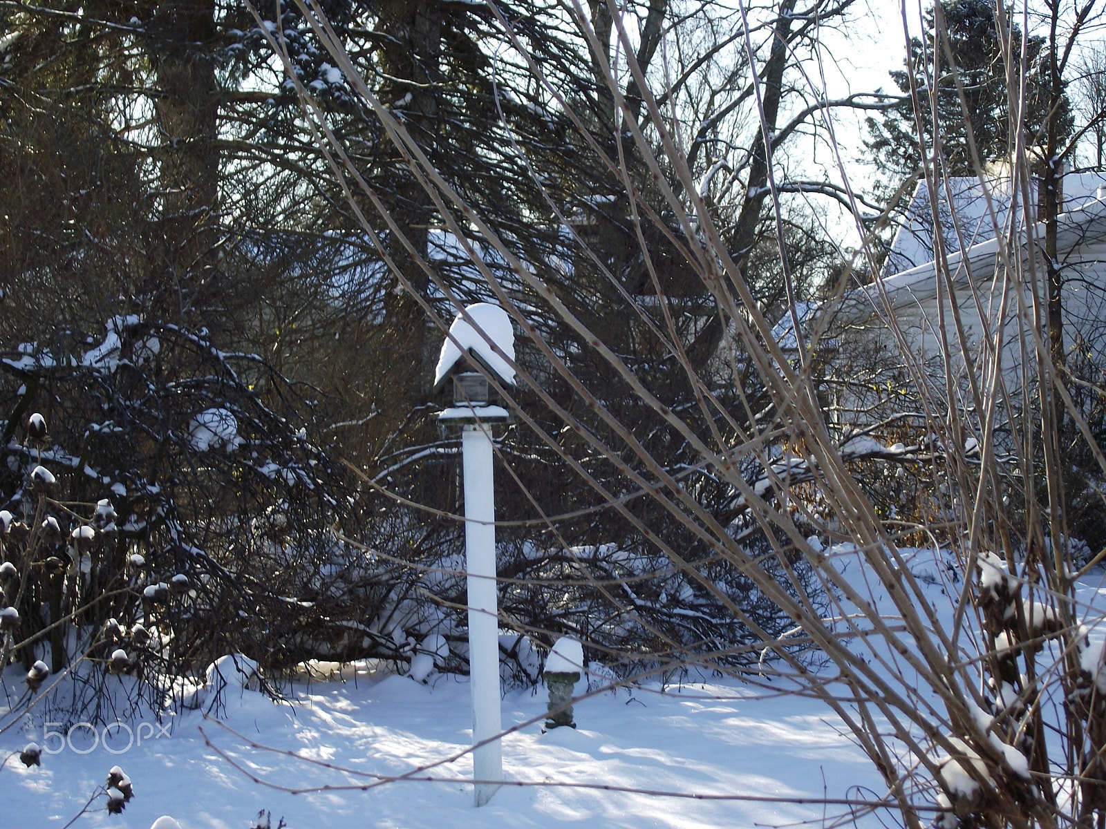 FujiFilm FinePix S1800 (FinePix S1880) sample photo. Quiet early morning winter snow photography