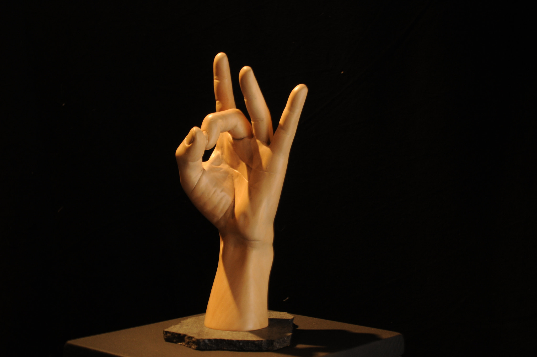 Nikon D300S sample photo. Hand photography