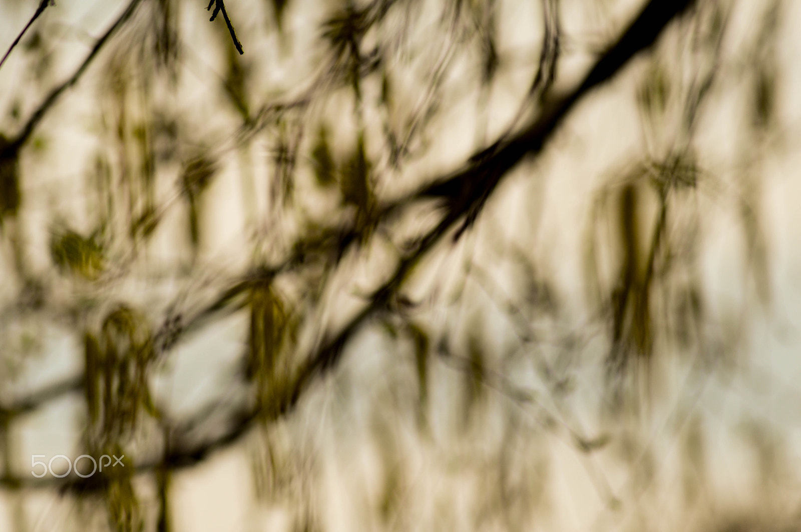 Nikon D3200 sample photo. Windstorm photography