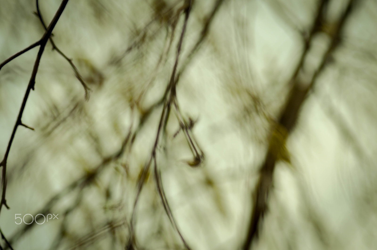 Nikon D3200 sample photo. Windstorm photography