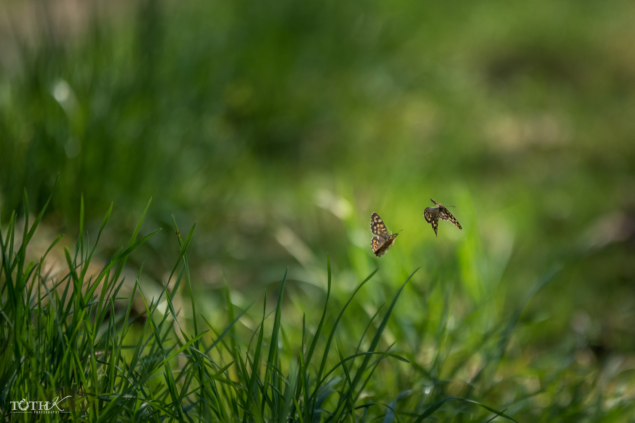 Nikon D7100 + Sigma 70-200mm F2.8 EX DG OS HSM sample photo. Love and dance. photography