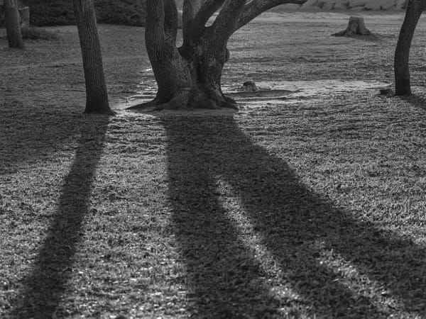 Hasselblad XCD 90mm F3.2 sample photo - GX5NYnAZgf - ExploreCams