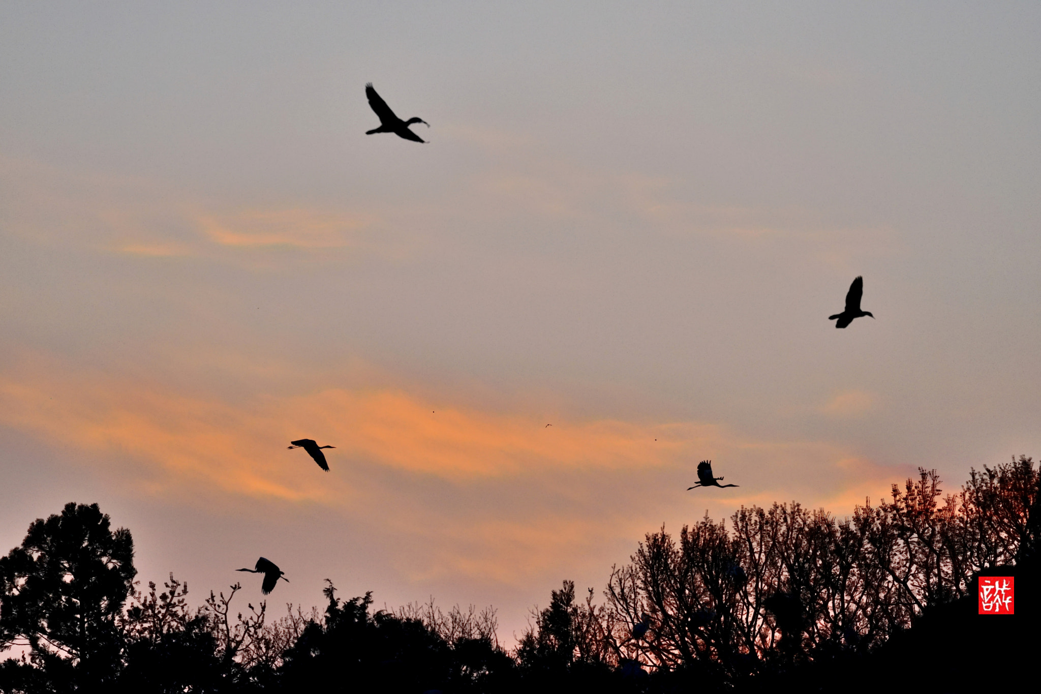 Sony FE 70-300mm F4.5-5.6 G OSS sample photo. Sunrise 0331 photography
