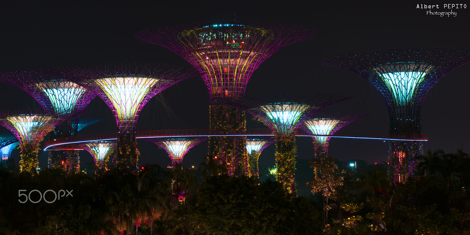 Nikon AF-S Nikkor 24-70mm F2.8G ED sample photo. Supertrees photography