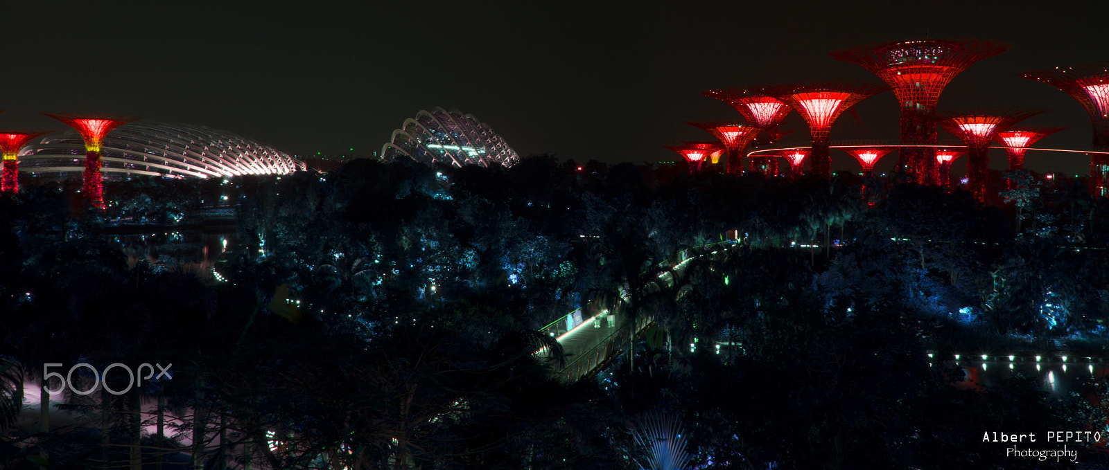 Nikon AF-S Nikkor 24-70mm F2.8G ED sample photo. Supertress at gardens by the bay photography