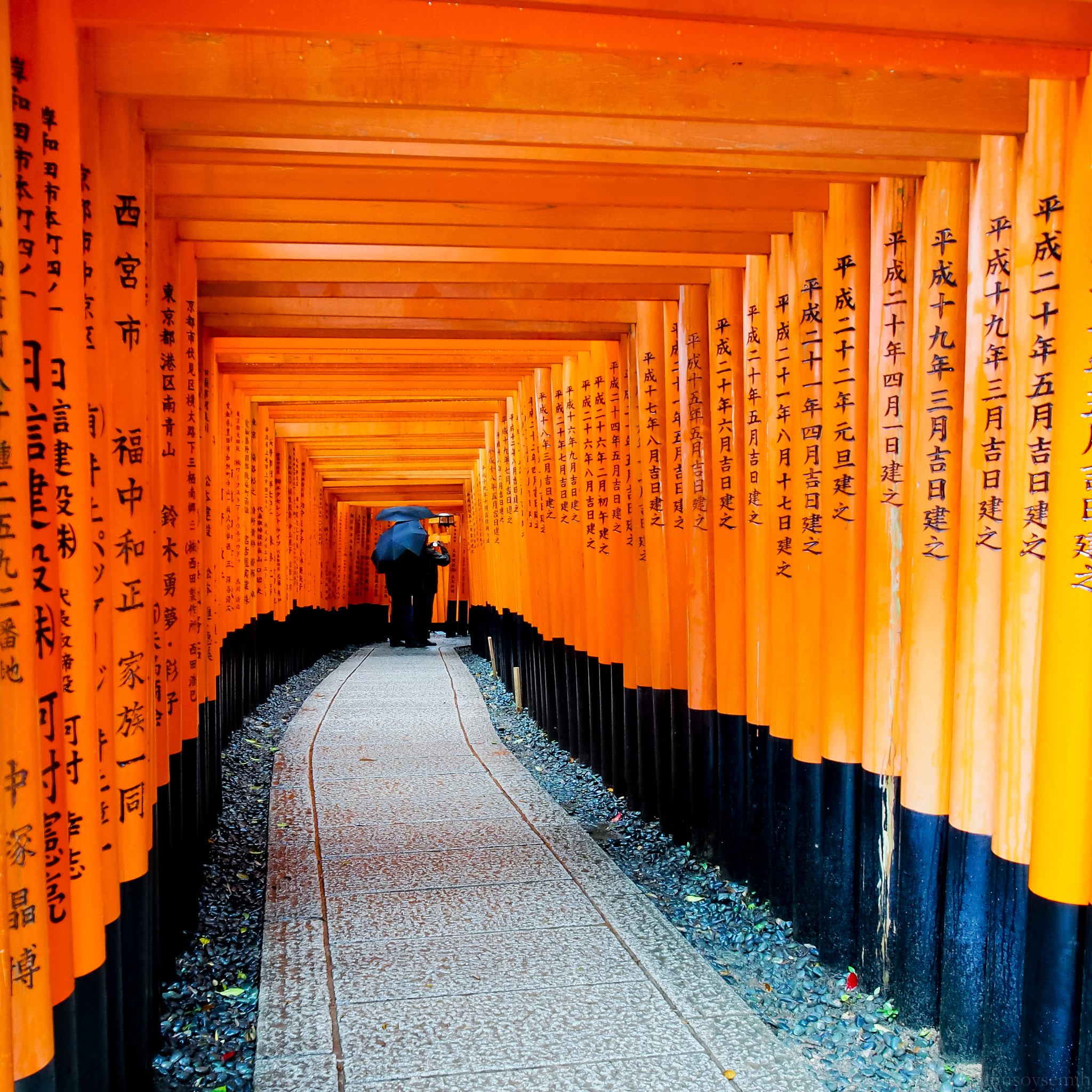 Olympus OM-D E-M5 sample photo. Temple run photography
