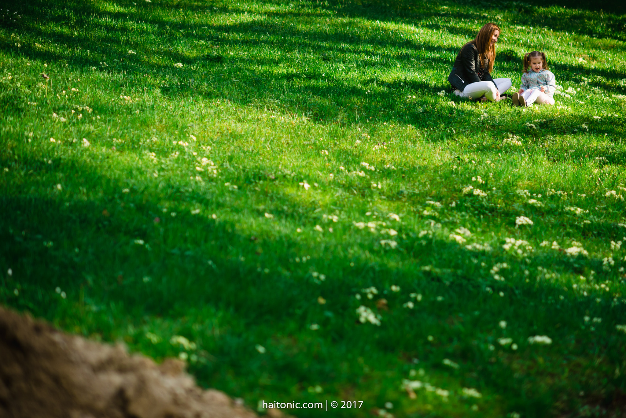 Nikon D750 + Nikon AF-S Nikkor 85mm F1.4G sample photo. Www.haitonic.com photography