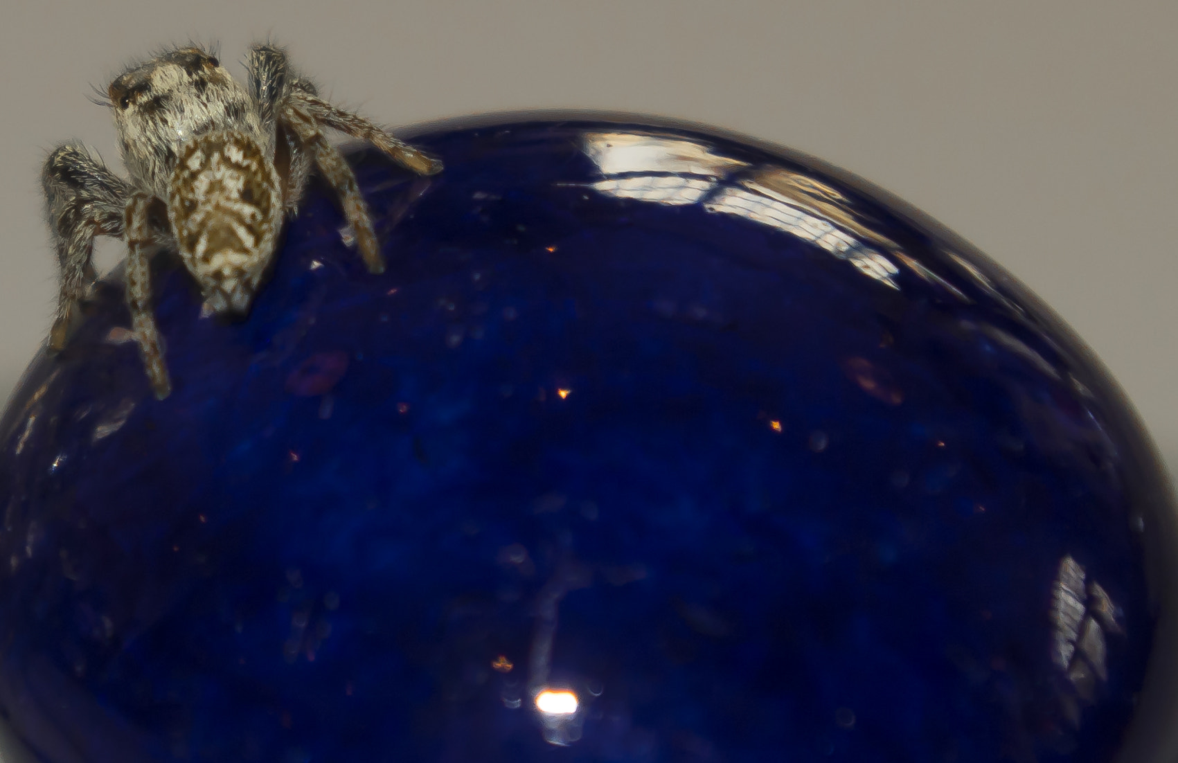 Nikon 1 J5 sample photo. Living on a blue marble photography