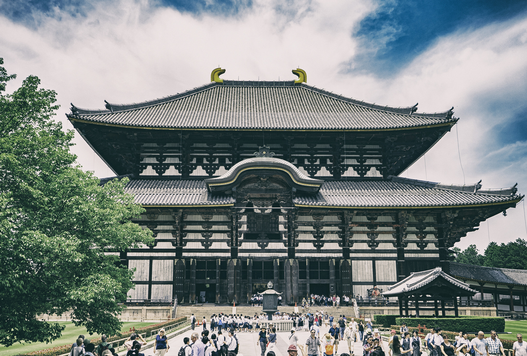 Sony a7R + Sony FE 28-70mm F3.5-5.6 OSS sample photo. Daibutsuden, nara photography