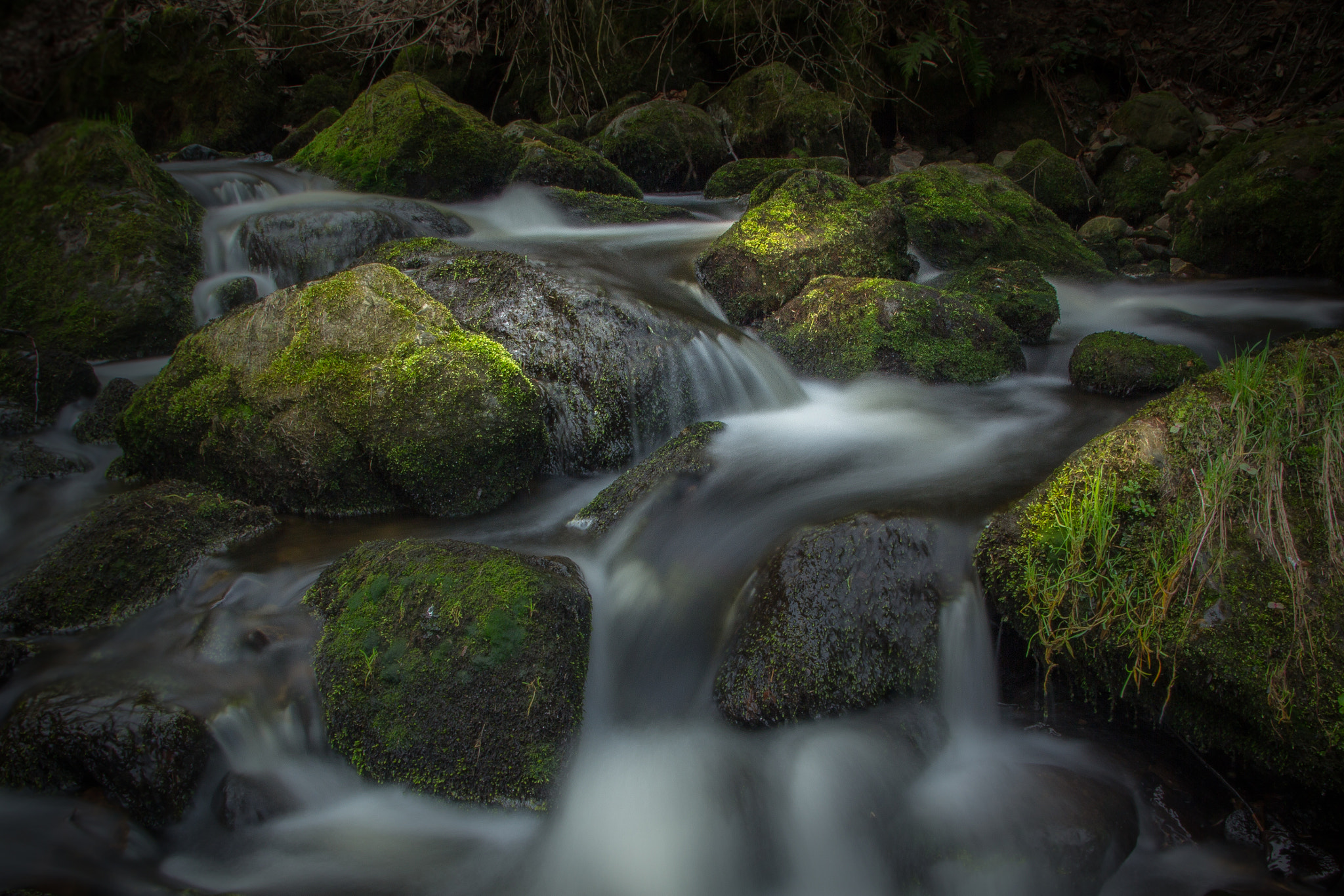 Sigma 18-250mm F3.5-6.3 DC OS HSM sample photo. The cold heart - by wilhelm hauff photography