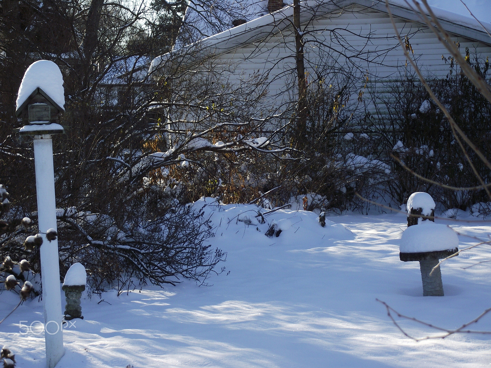 FujiFilm FinePix S1800 (FinePix S1880) sample photo. Early morning light in the snow photography