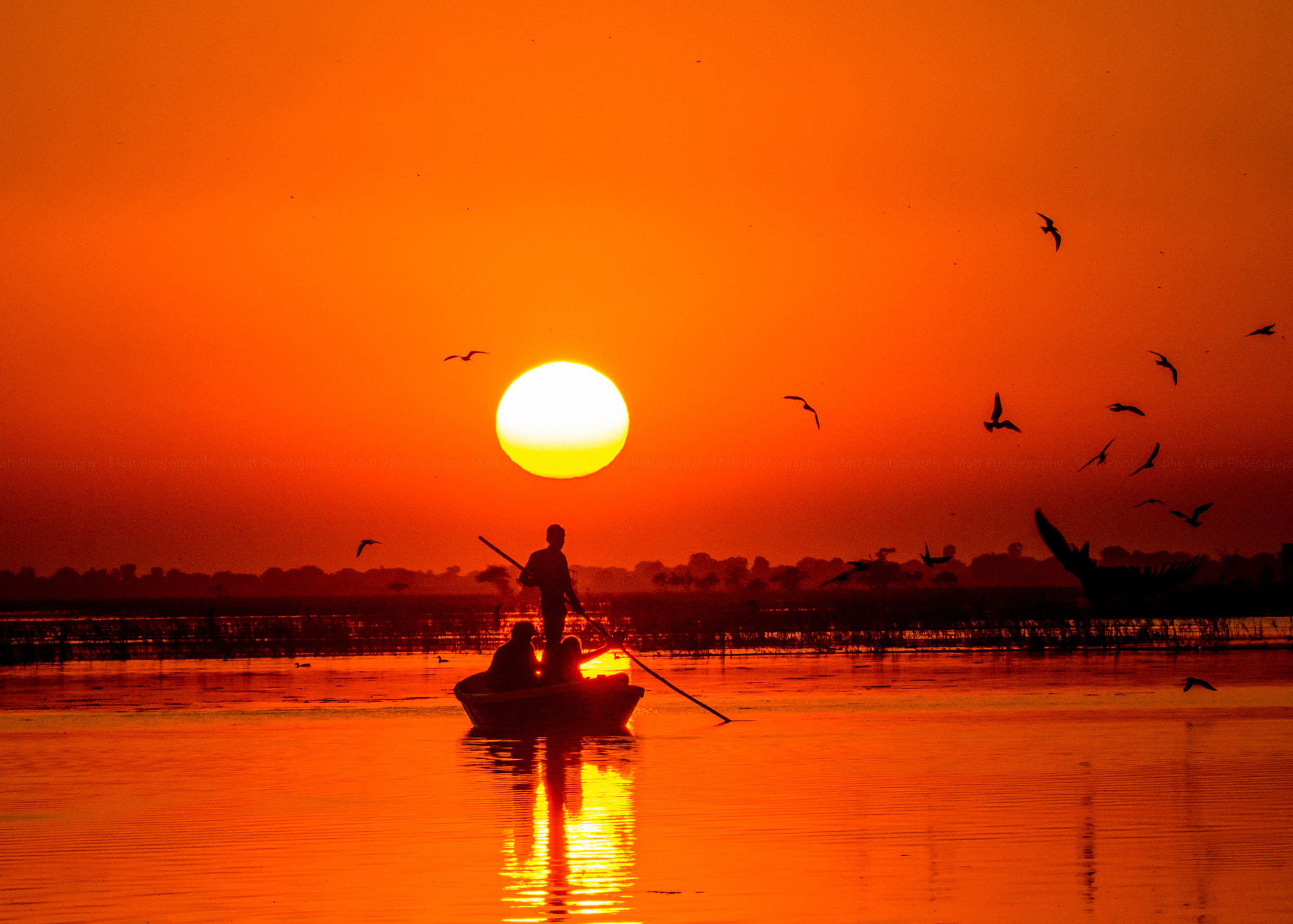Nikon D7100 sample photo. Sun silhouette scene photography