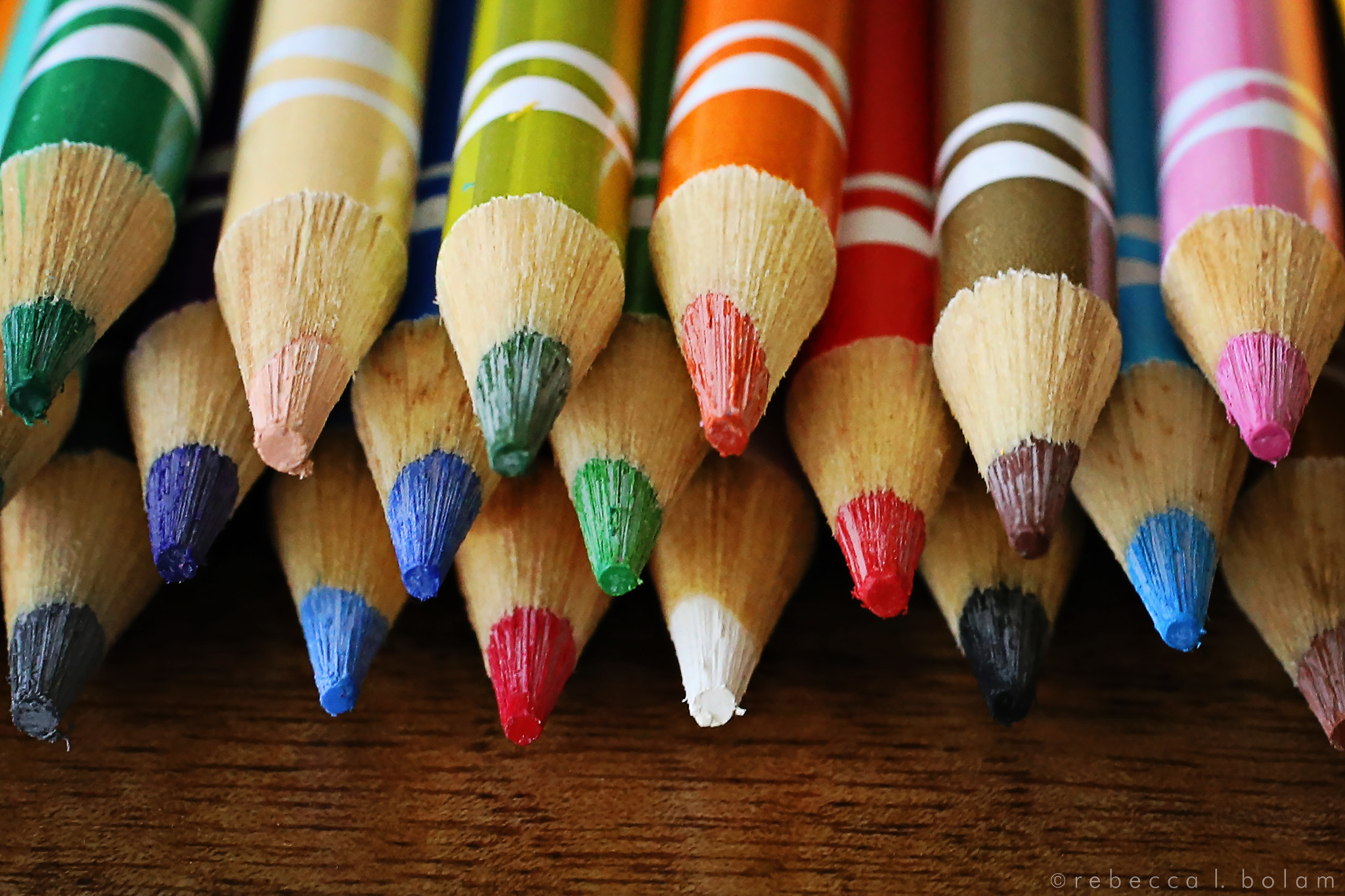 Canon EF 50mm F2.5 Macro sample photo. Colored pencils macro photography