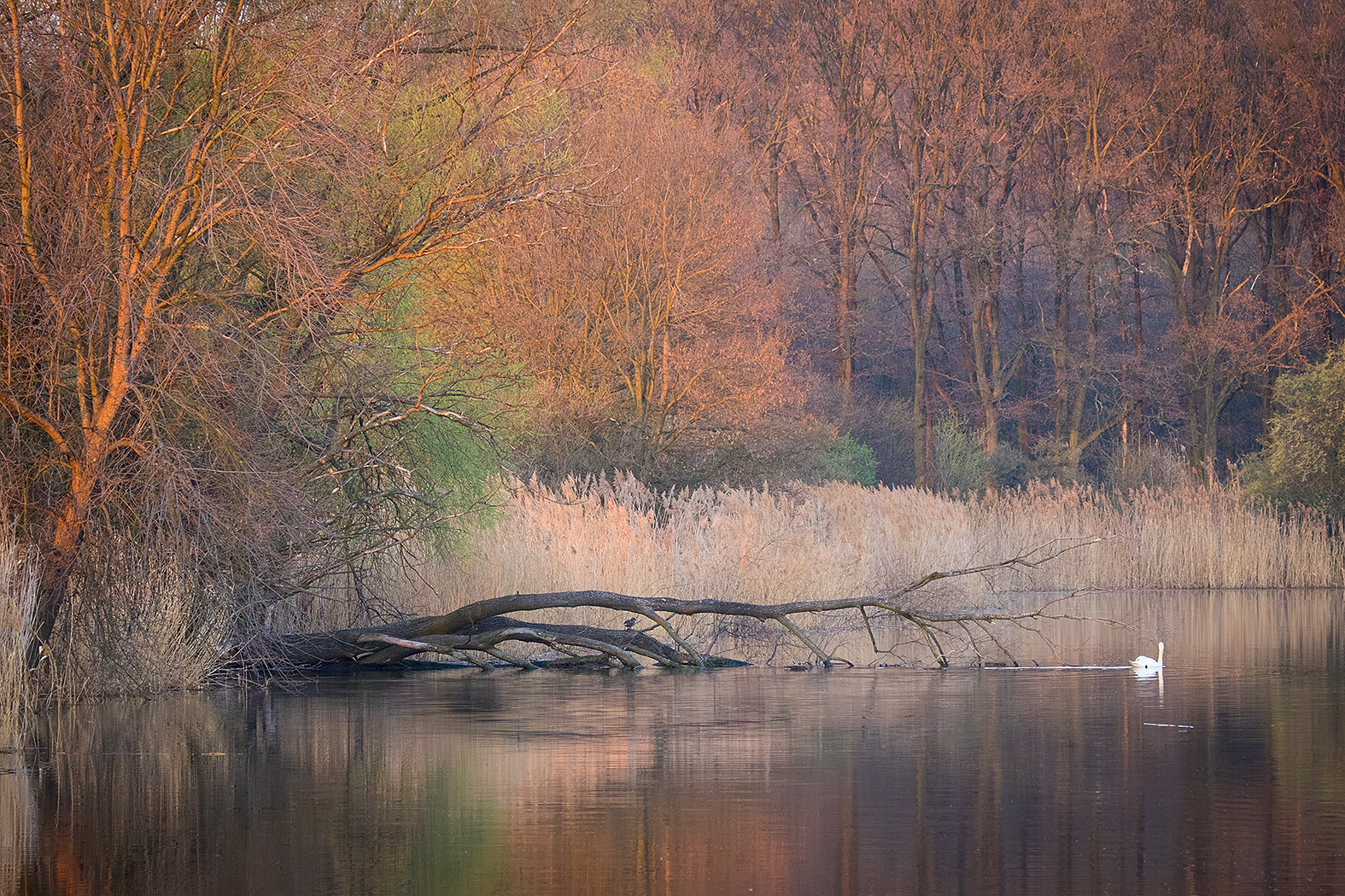 Canon EF 100-400mm F4.5-5.6L IS USM sample photo. Landsape photography