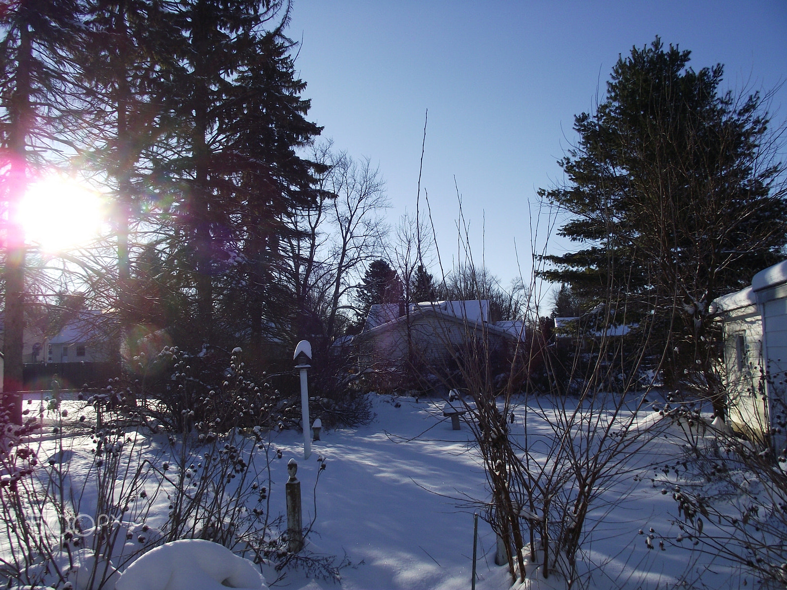 FujiFilm FinePix S1800 (FinePix S1880) sample photo. Here comes the wintertime sun. photography