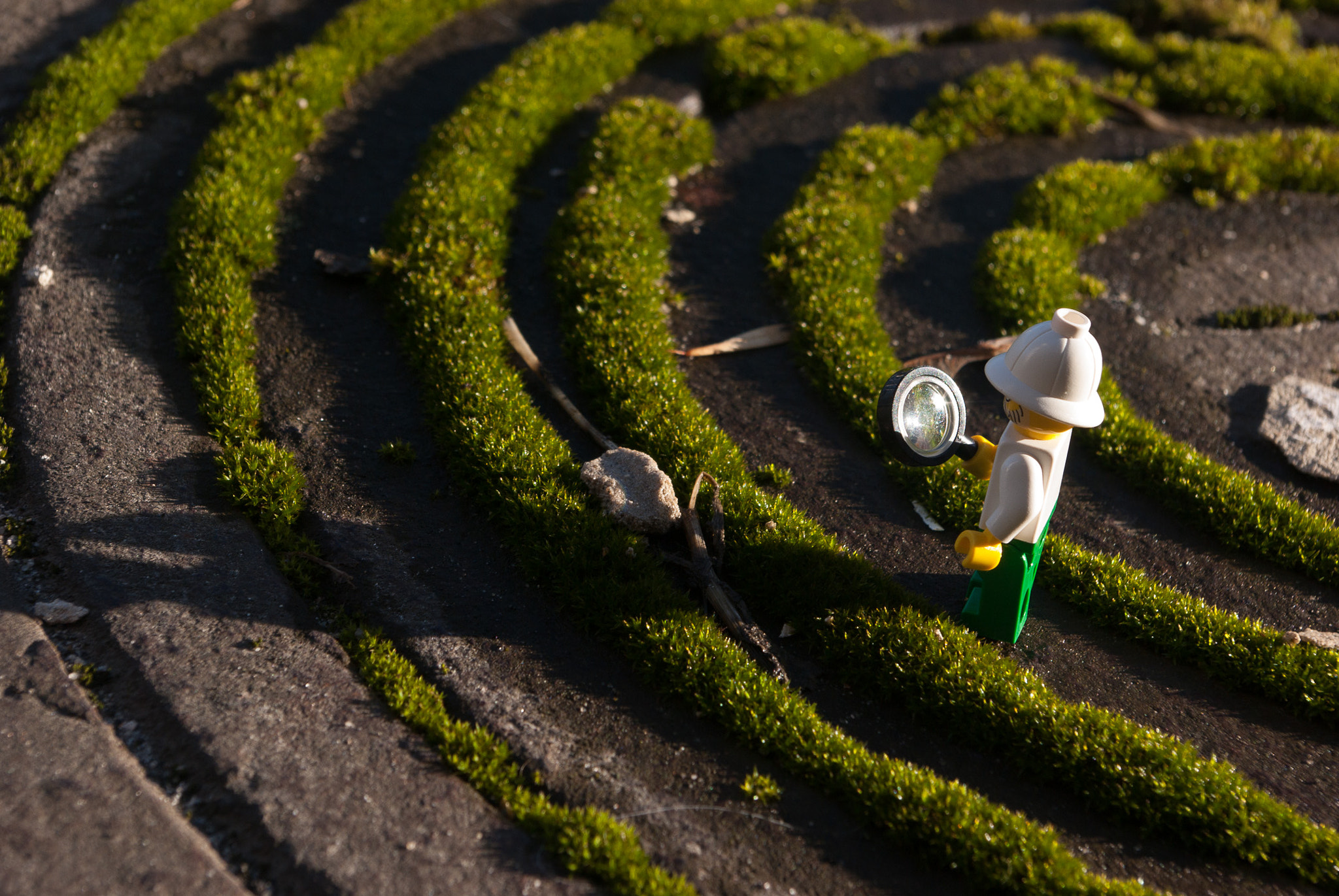 Pentax K10D + Pentax smc DA 18-55mm F3.5-5.6 AL WR sample photo. Crop circle research photography