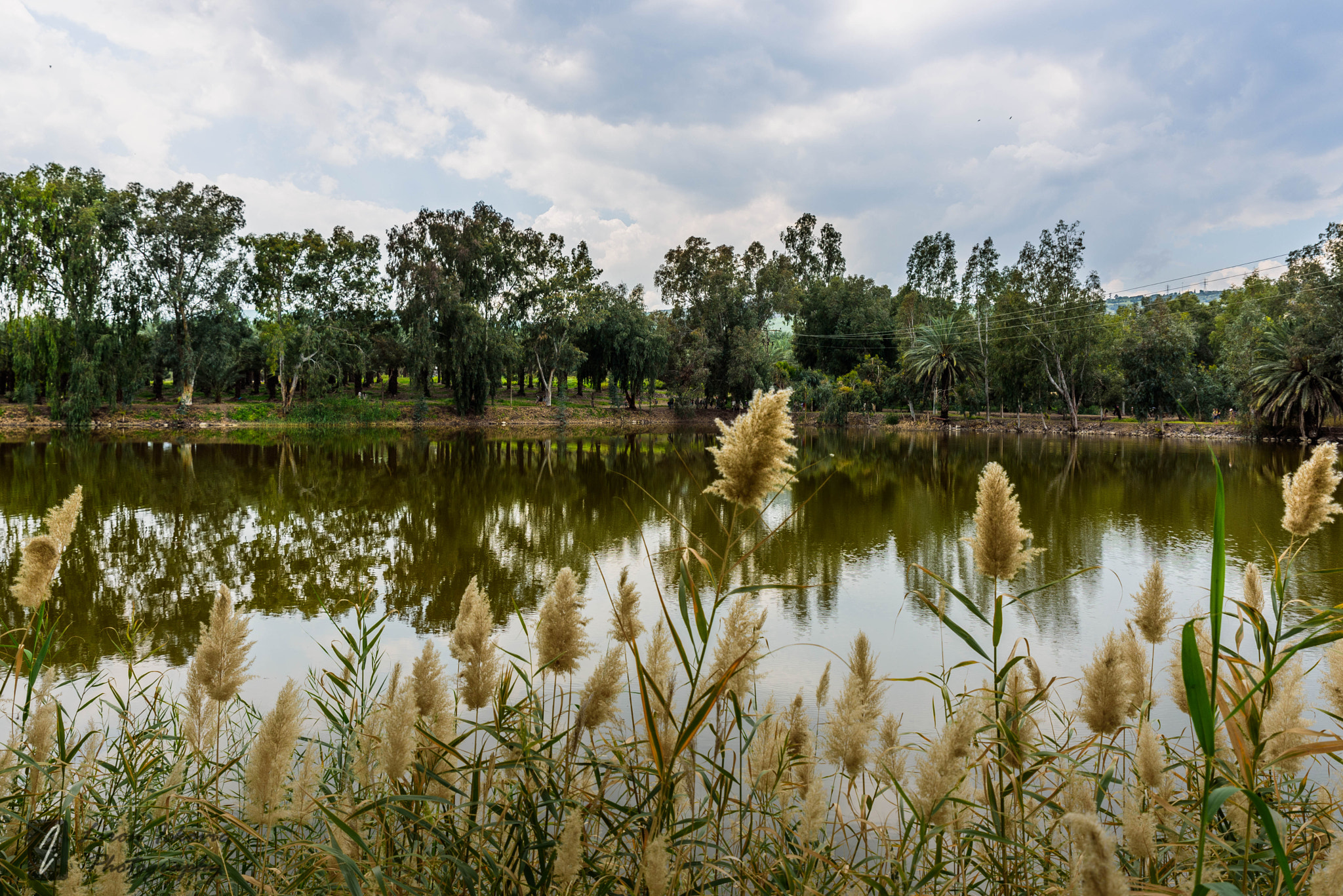 Tamron SP 24-70mm F2.8 Di VC USD sample photo. Lake photography