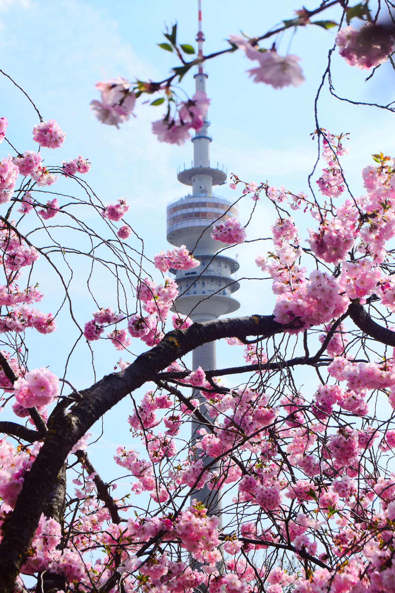 Nikon D3300 sample photo. Spring in munich photography