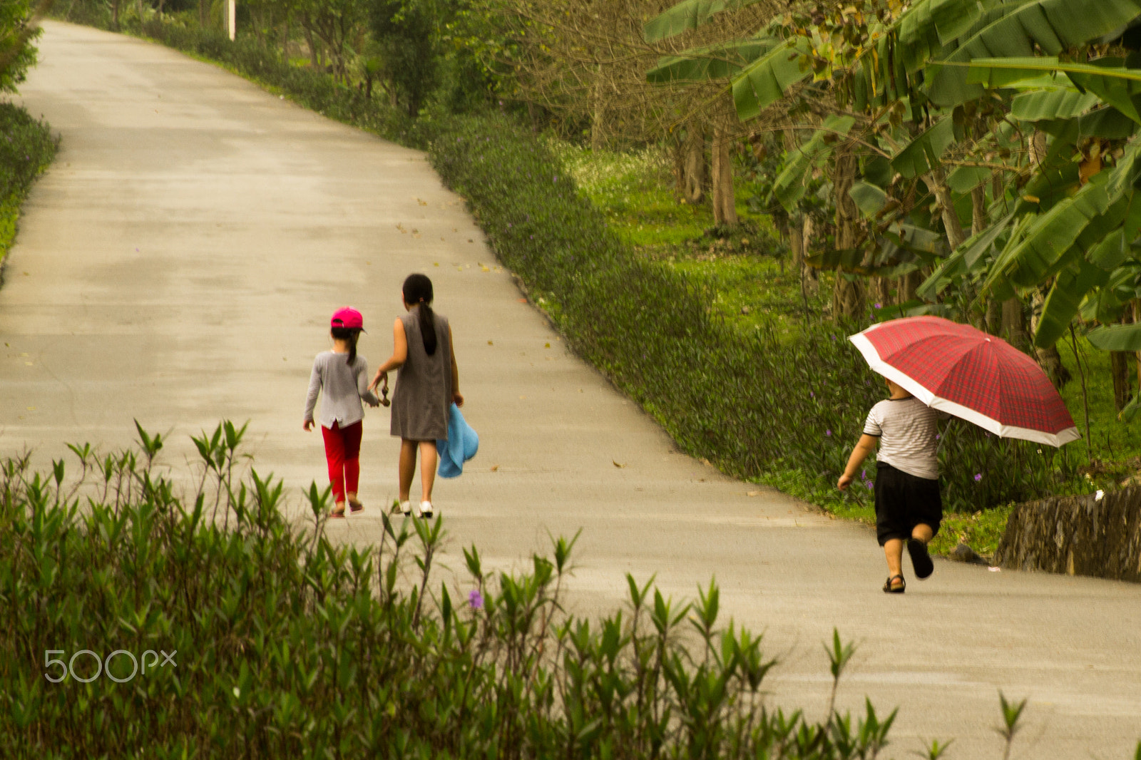 Nikon D3100 sample photo. Momma, please take me along... photography