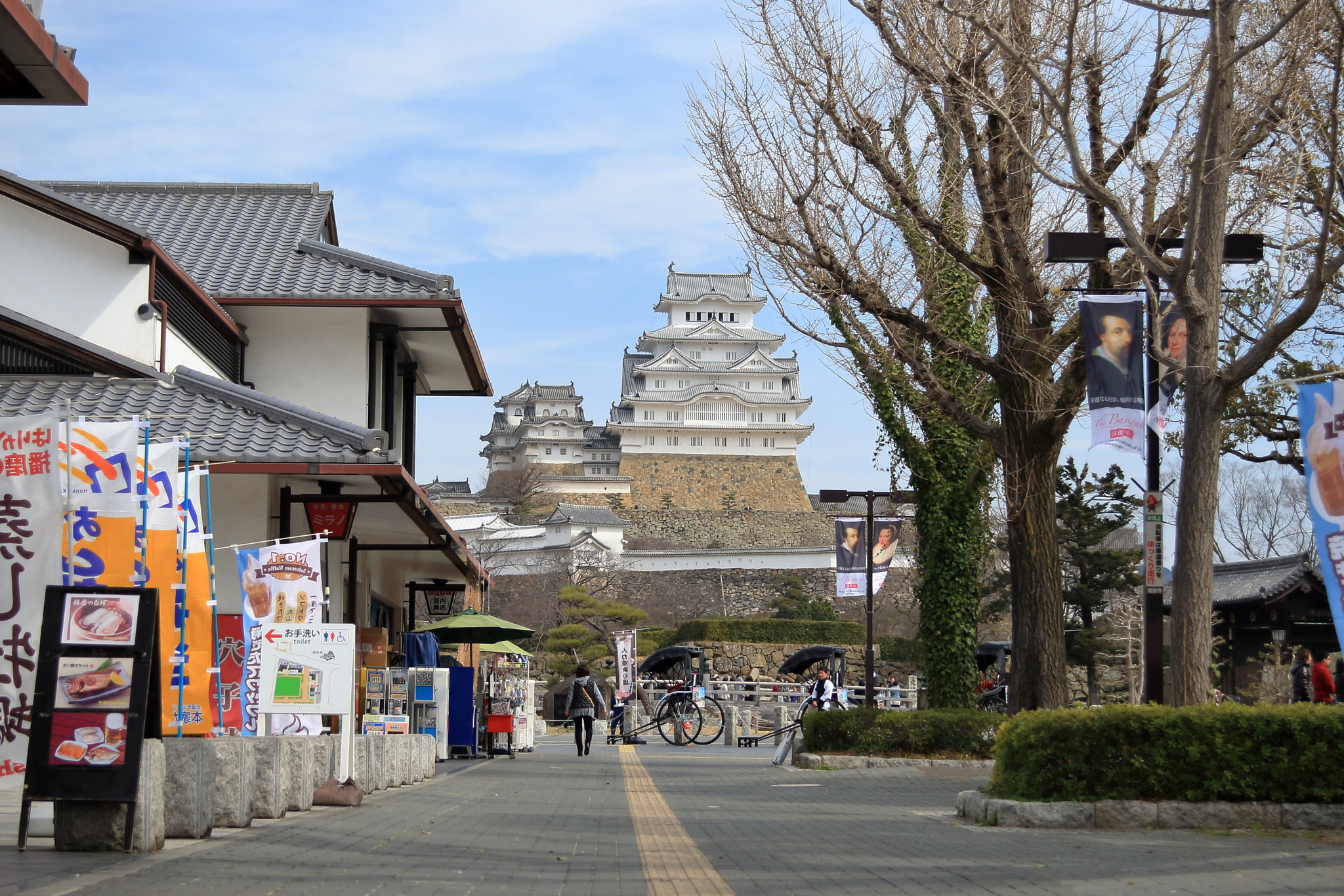 Canon EF 28-80mm f/3.5-5.6 USM sample photo. Castle of egret photography