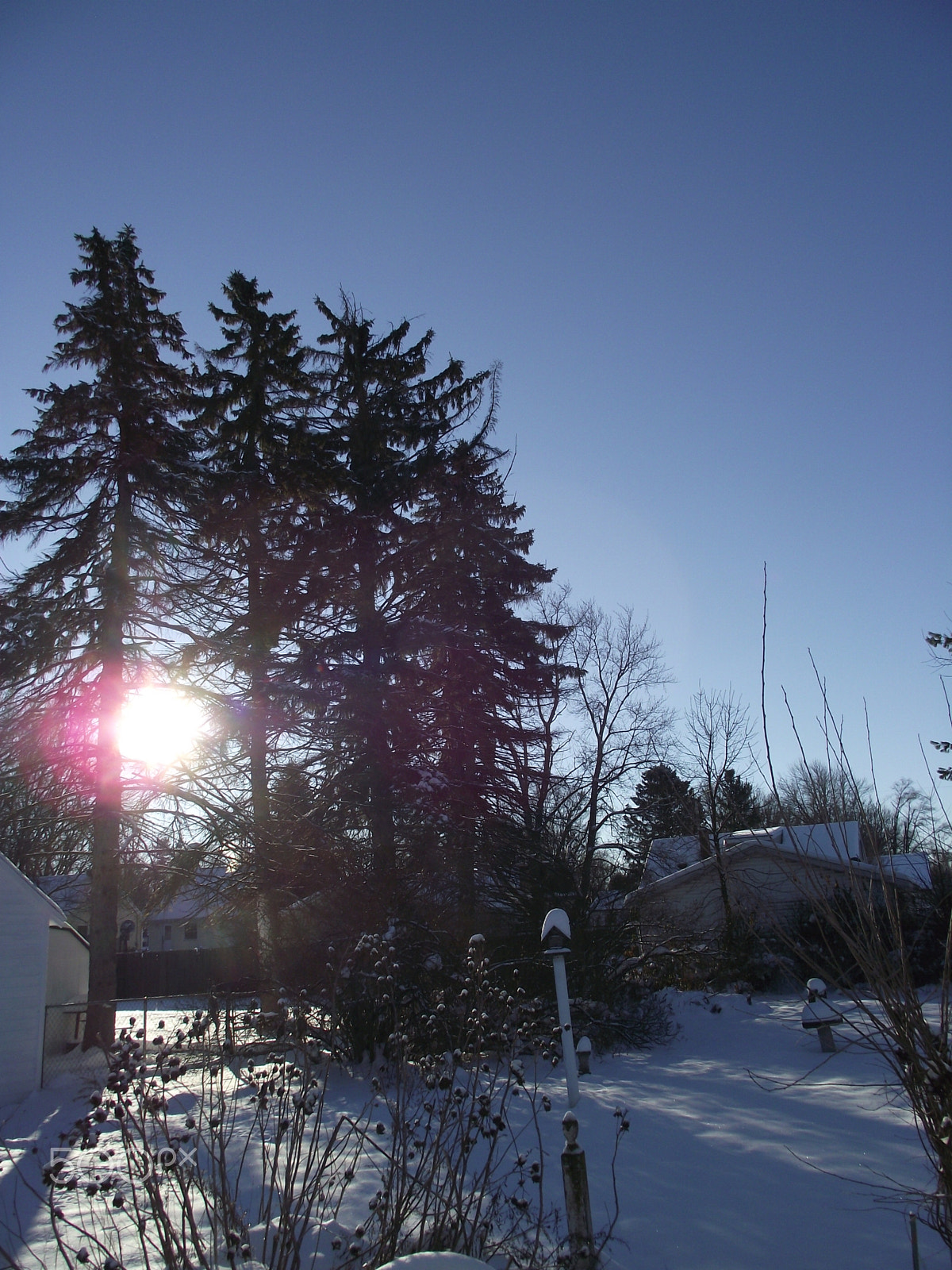 FujiFilm FinePix S1800 (FinePix S1880) sample photo. Morning sun through the trees photography