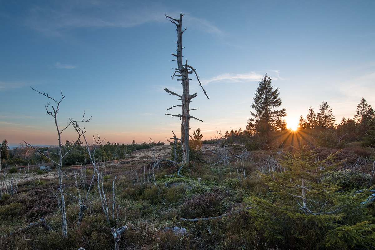Nikon AF-S Nikkor 18-35mm F3.5-4.5G ED sample photo. Vogelkopf photography