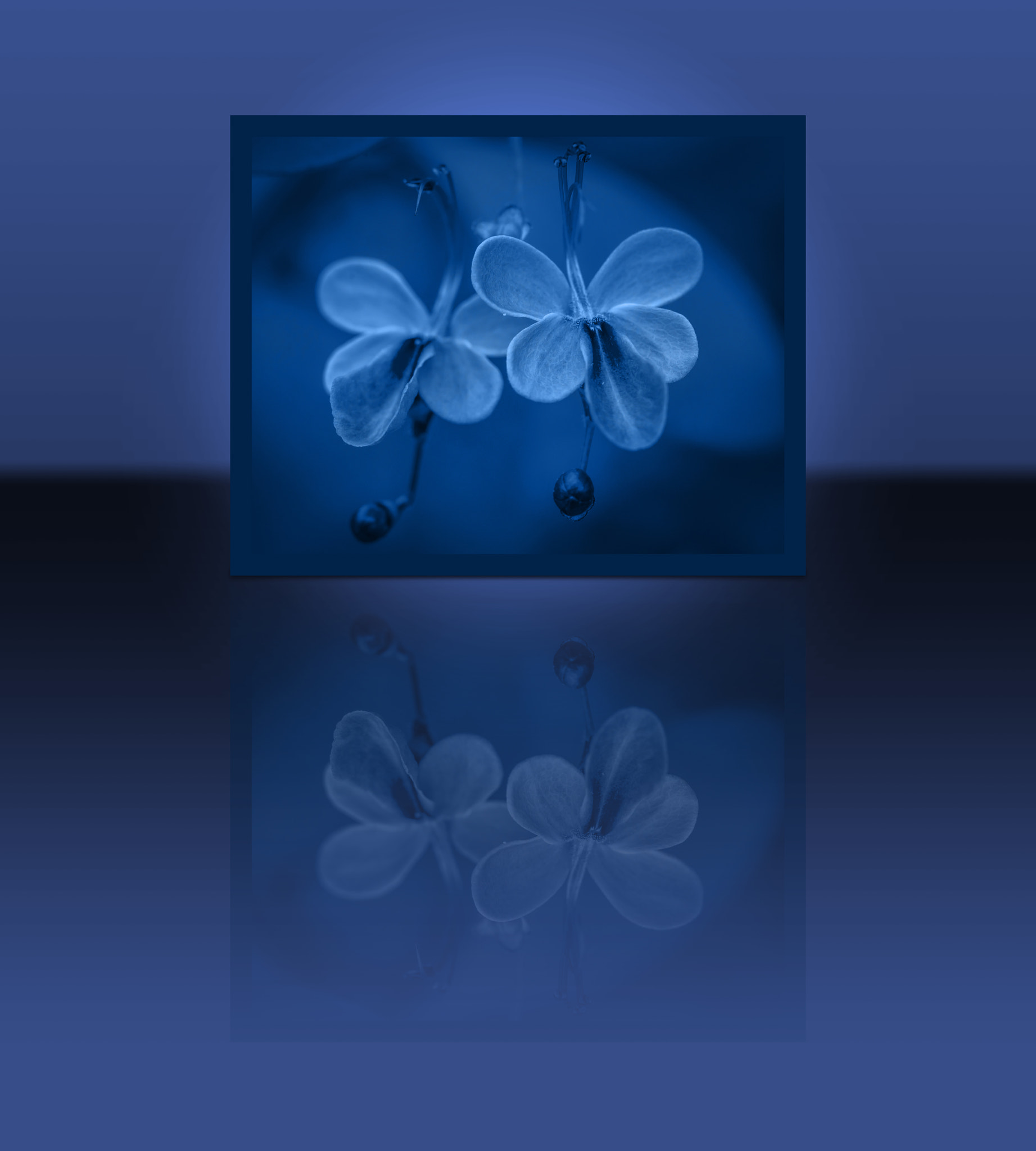 Nikon AF-S Micro-Nikkor 105mm F2.8G IF-ED VR sample photo. Blue twins reflections photography
