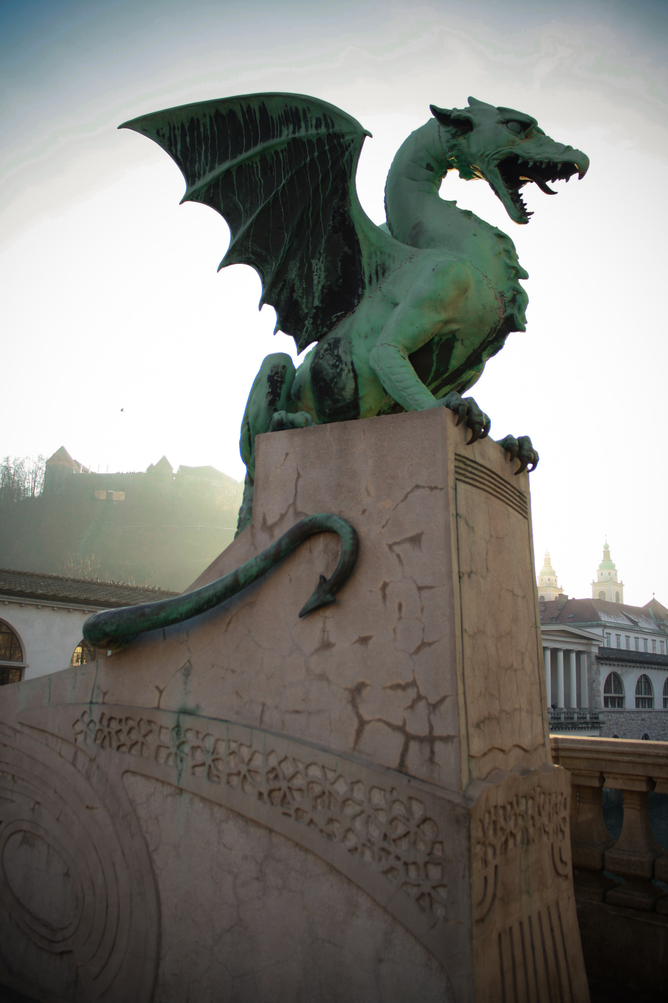 Canon EF-S 18-55mm F3.5-5.6 IS sample photo. Dragon photography