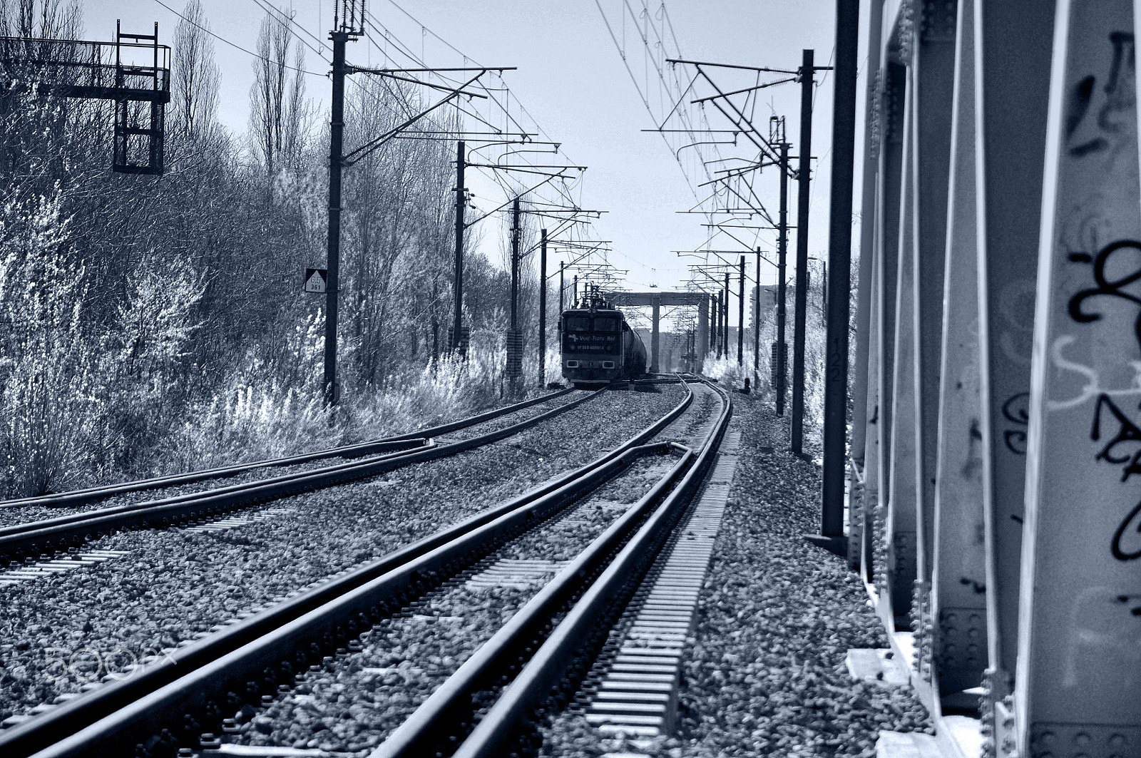 Nikon D90 sample photo. Don't come closer photography
